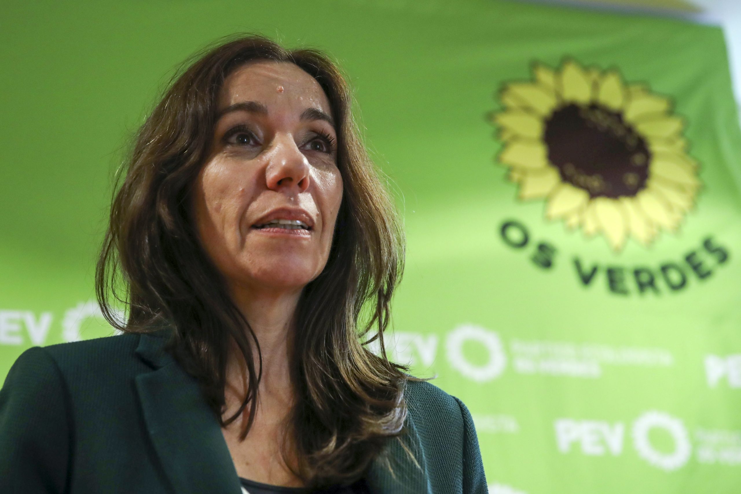 Legislativas: PEV espera manter dois deputados pela CDU e afasta acordo escrito com PS