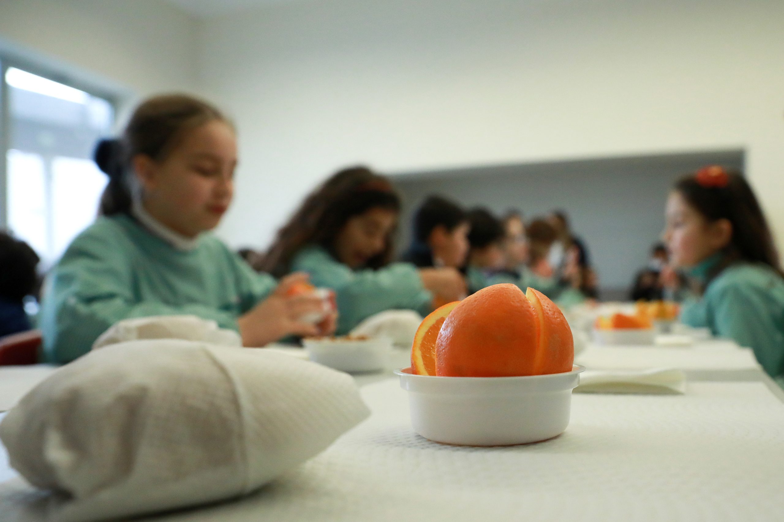 Distribuição de leite, fruta e legumes nas escolas recomeça este mês