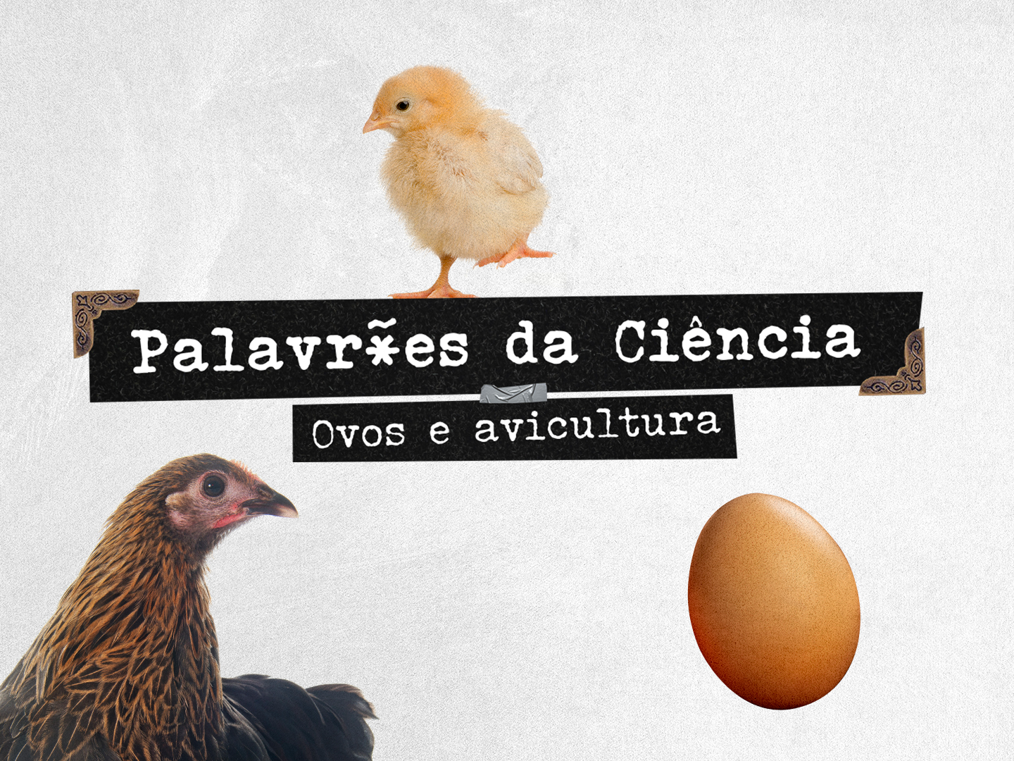Quem nasceu primeiro: o ovo ou a galinha?