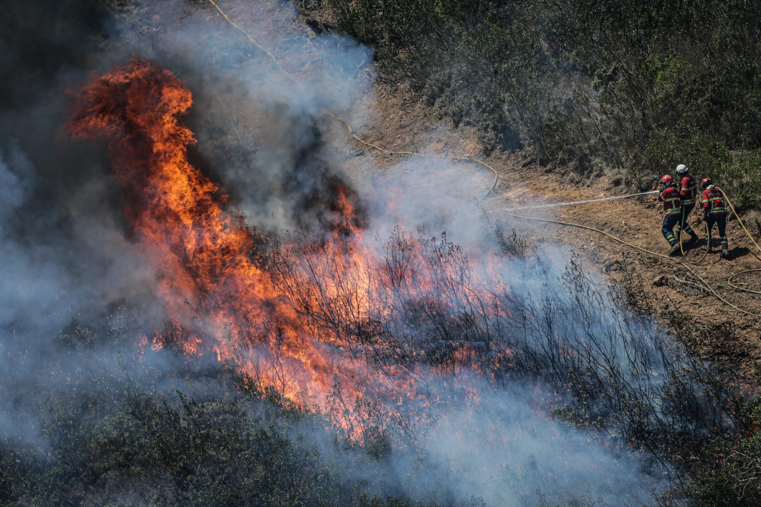 Mais de 500 operacionais combatem incêndio com duas frentes ativas em Lagos