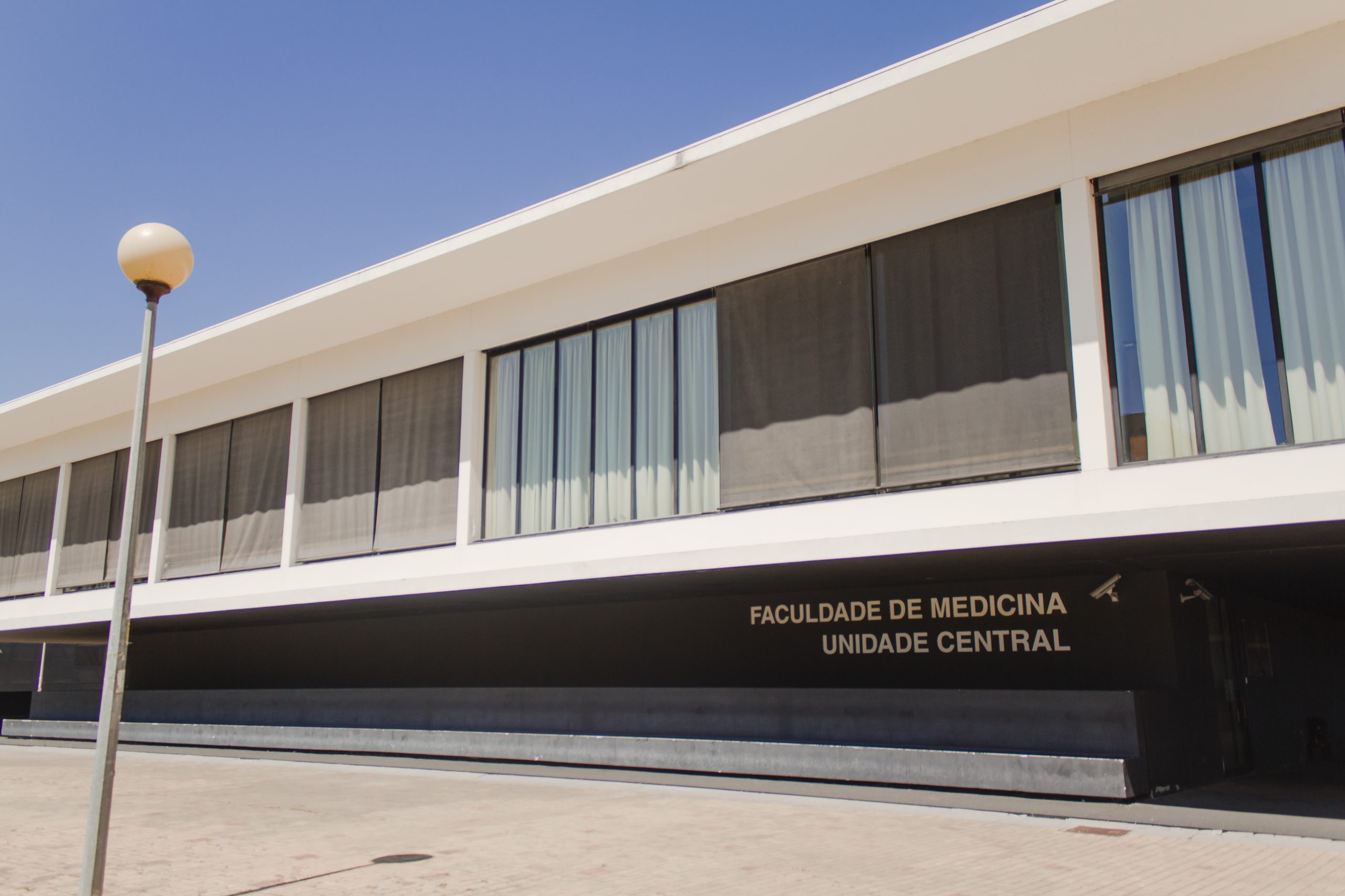 Combater a leucemia. Universidade de Coimbra quer melhorar tratamento e prognóstico de quem sofre de leucemia e linfomas