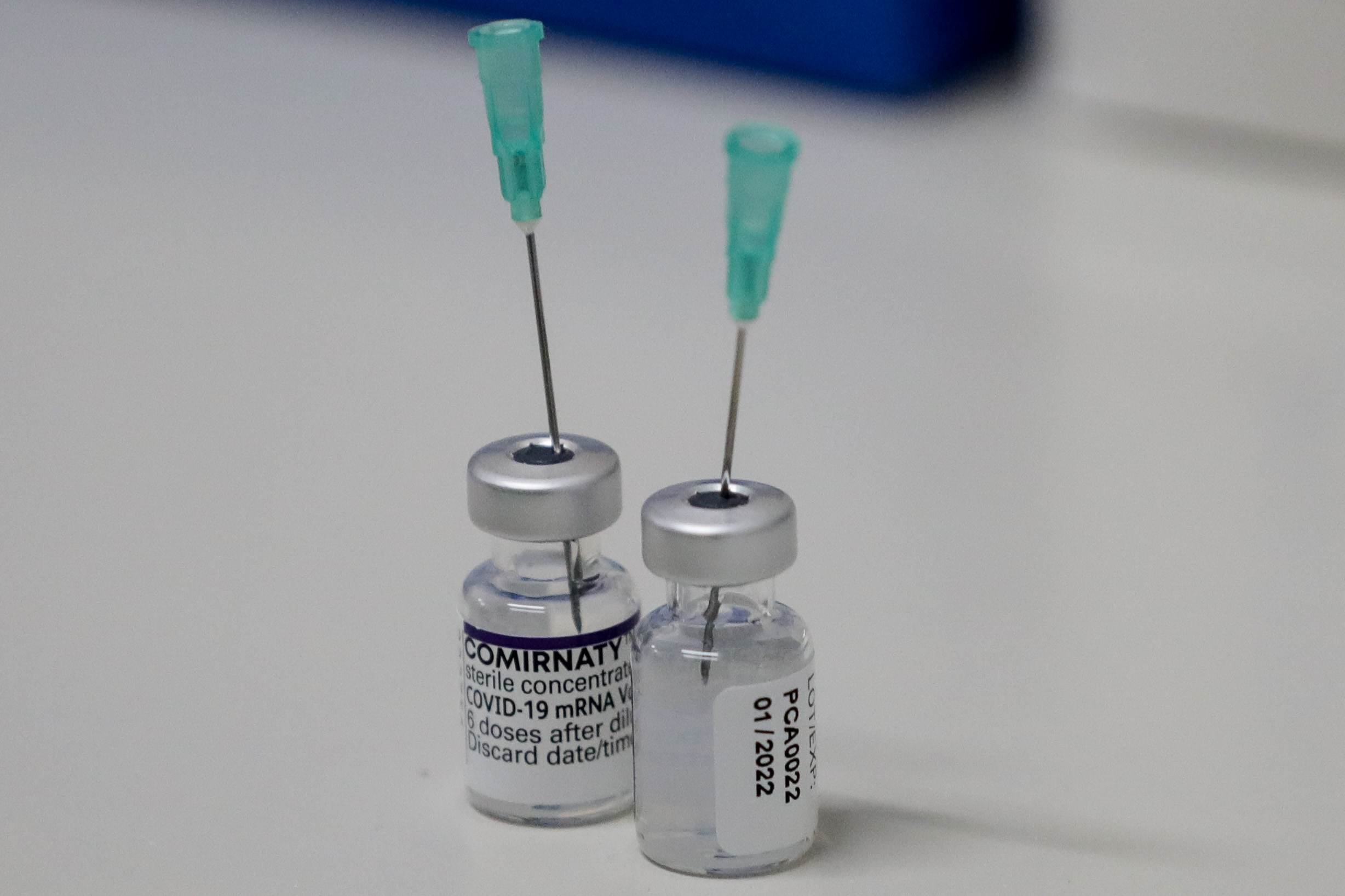 Site para marcação de dose de reforço foi abaixo com elevada afluência durante a manhã