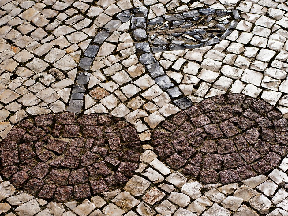 Primeiras cerejas do Fundão leiloadas em Lisboa para promover investigação