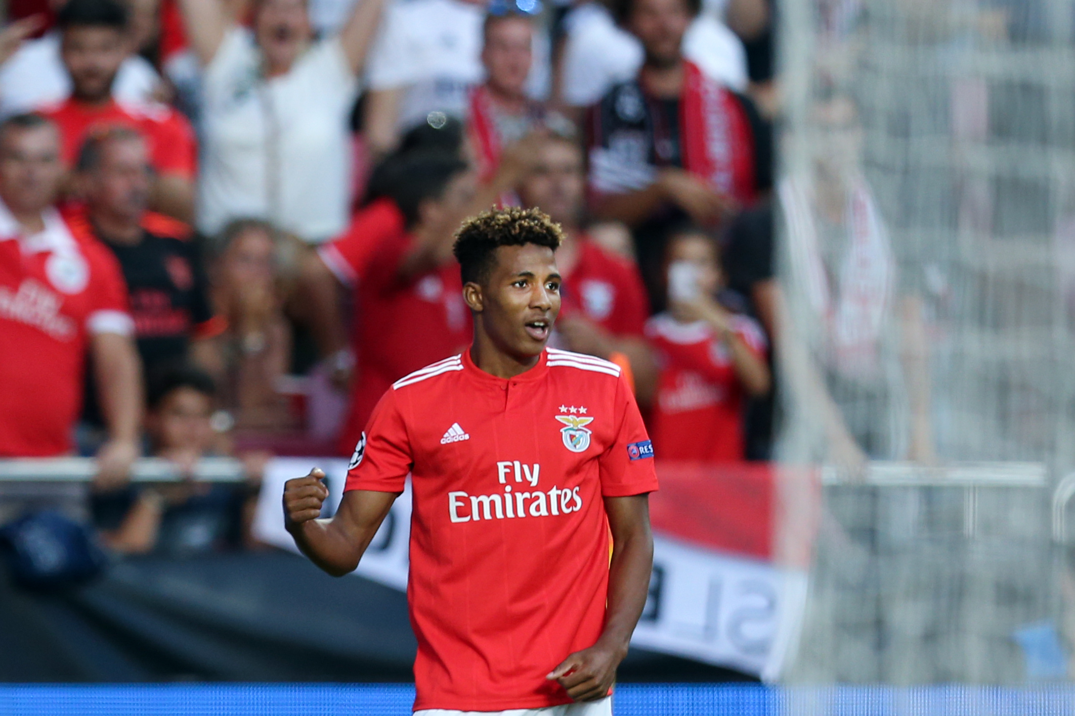 Gedson Fernandes renova com o Benfica até 2023