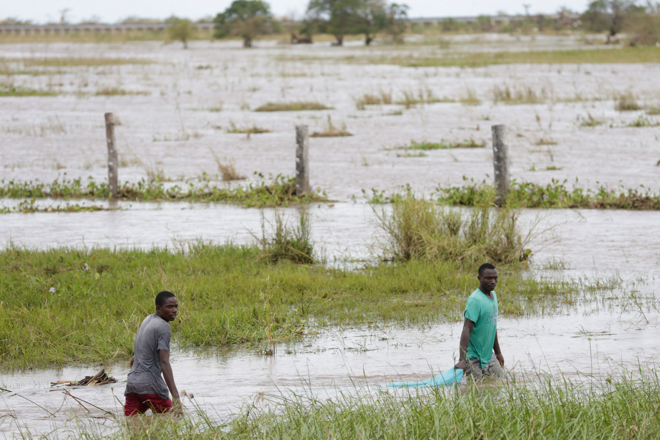 Idai: Autarca da Beira alerta para várias mortes com sintomas de cólera