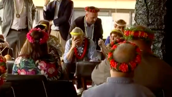 “Fiquei com os olhos trocados”. Deputado australiano sente-se mal após ingerir sakau, bebida tradicional da Micronésia