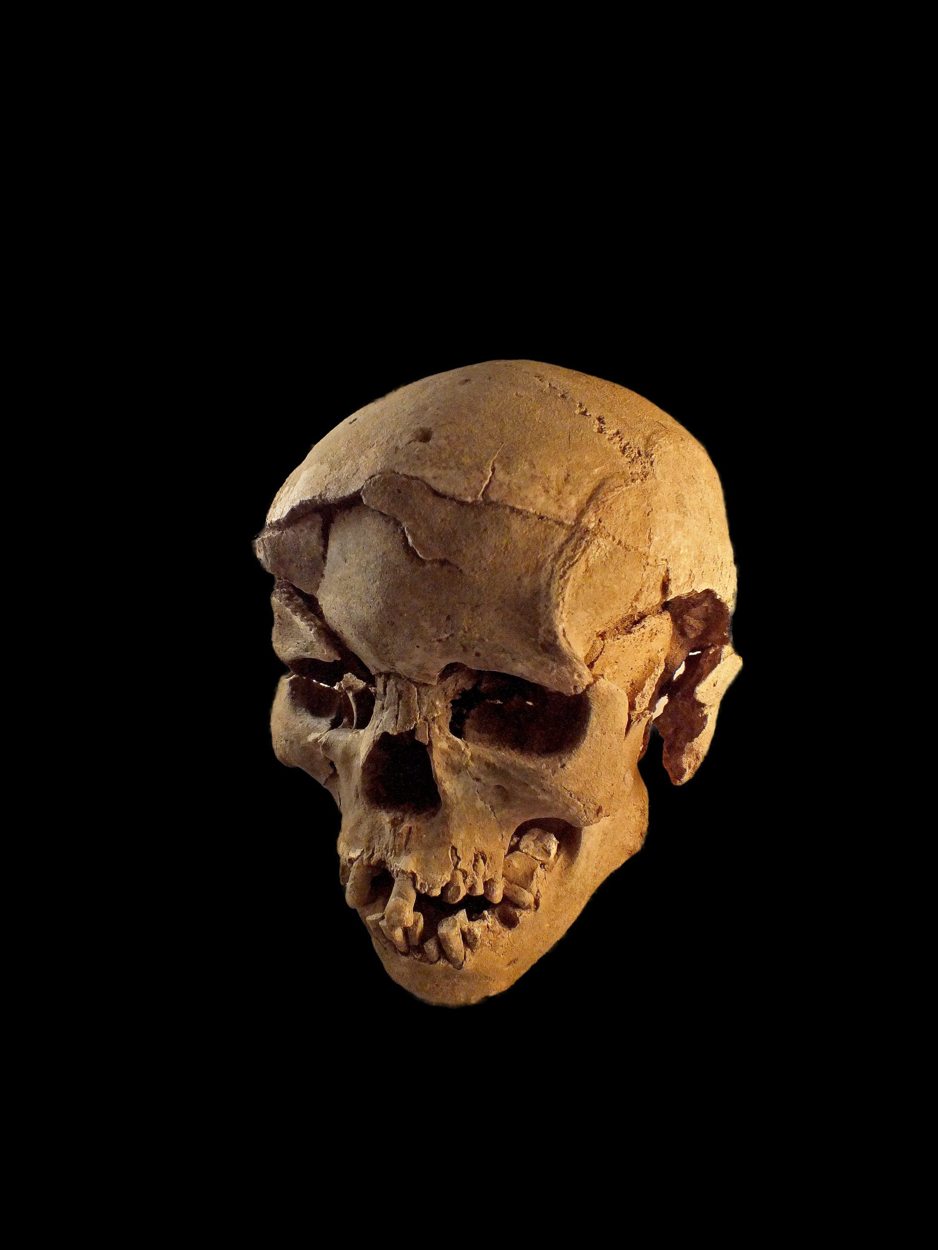 Homem atual é 100.000 anos mais antigo que o que se pensava