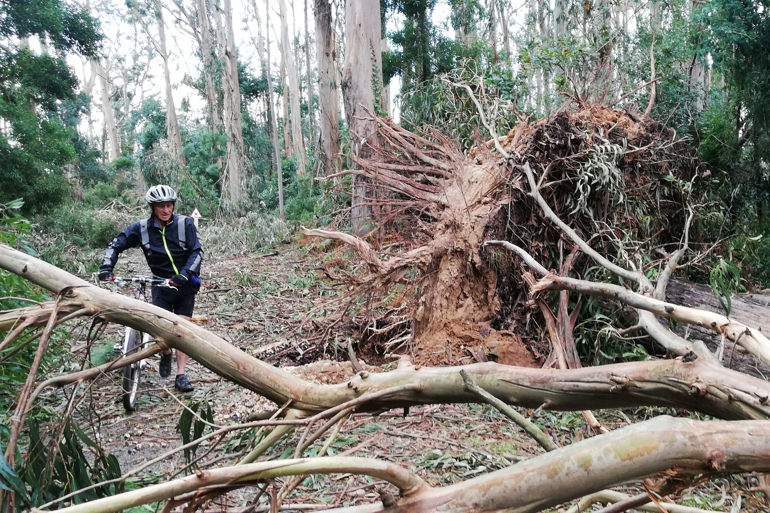 Tempestade Leslie. Municípios preocupados com demora nos apoios