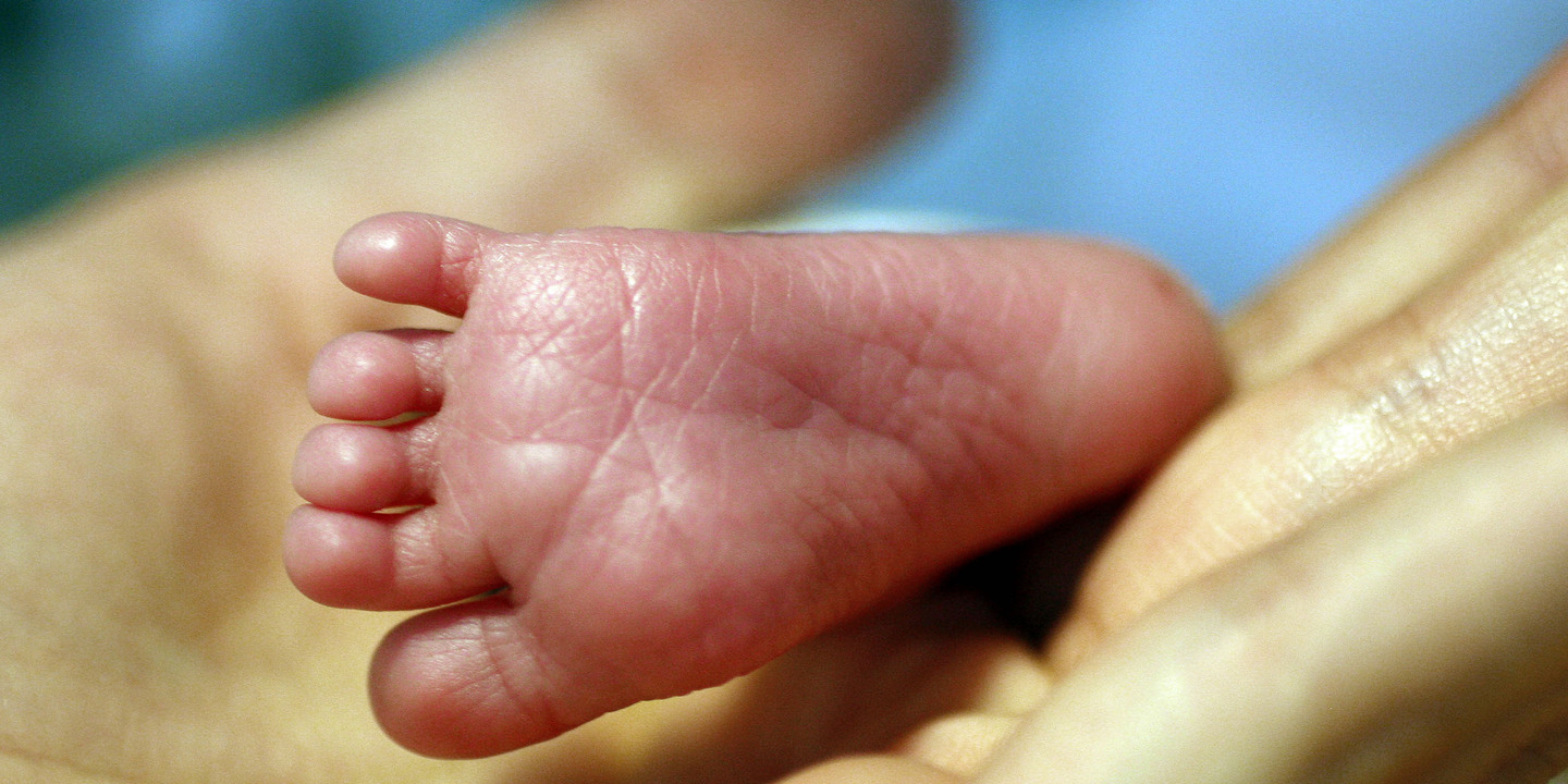 Licença parental paga a 100% durante seis meses: já conta com mais de 20 mil assinaturas