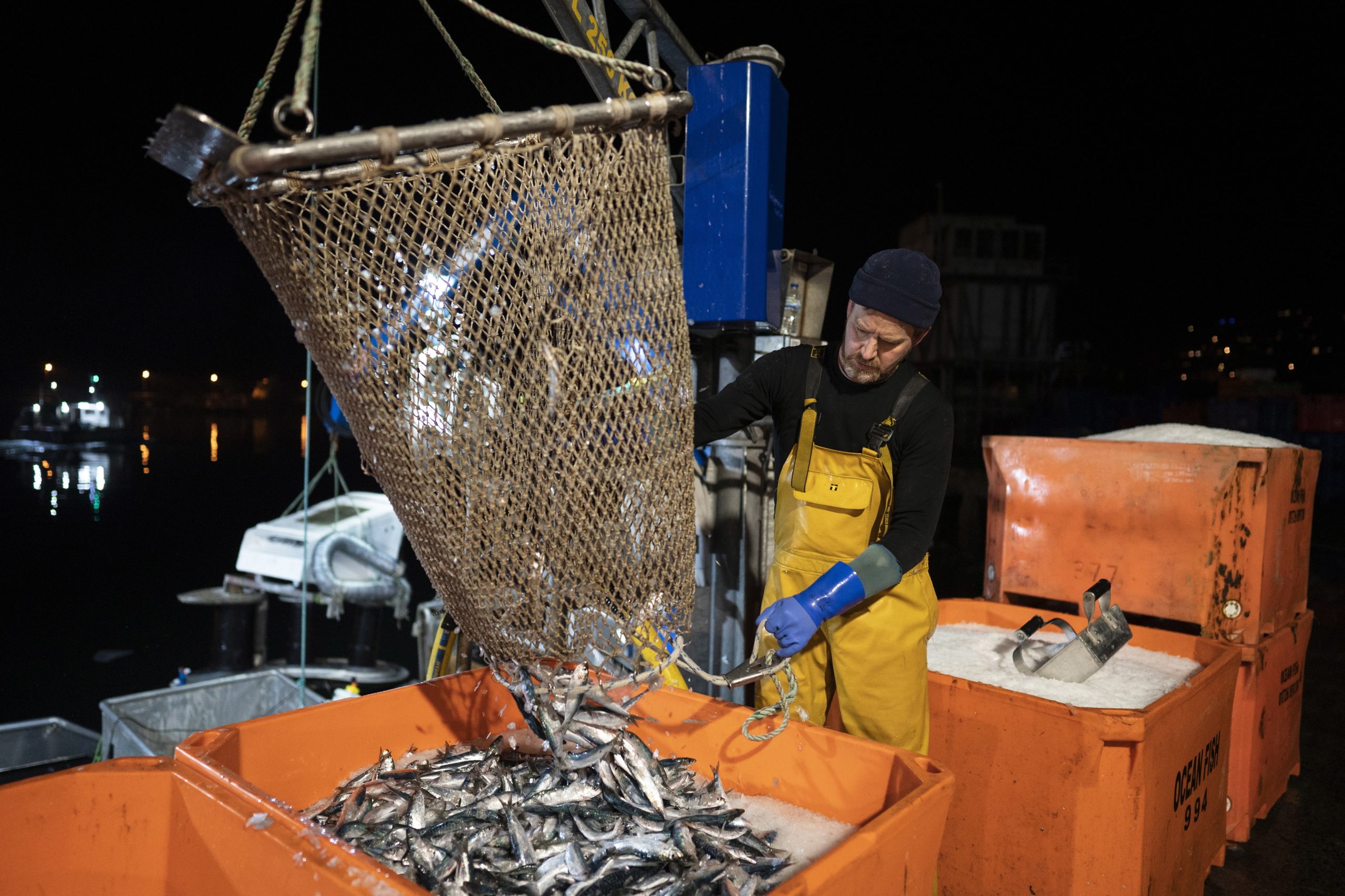 Olhãopesca diz que redução de quotas de pesca é “preocupante” e pode causar “constrangimentos”