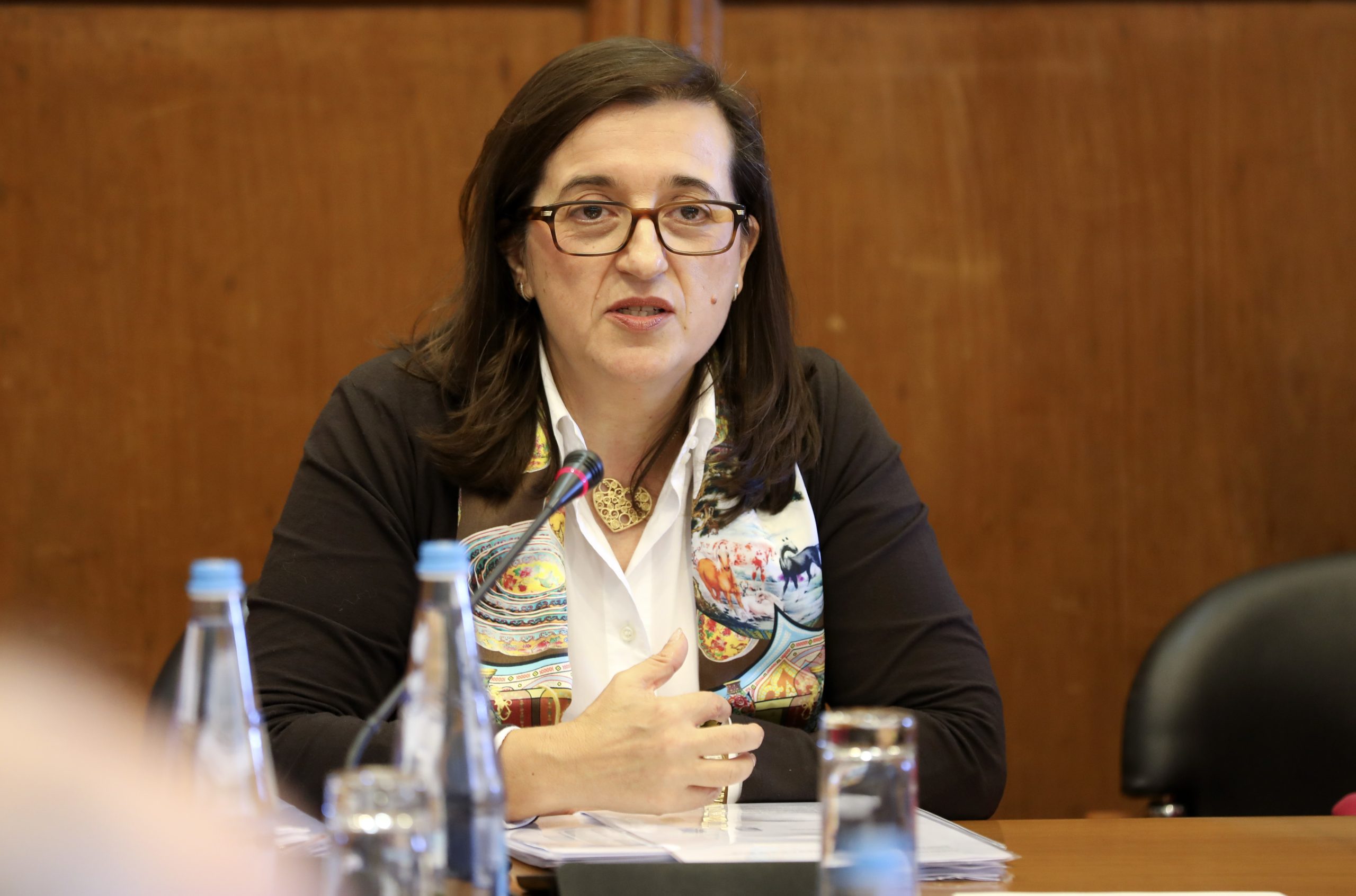 Diretora-geral da Autoridade Tributária ouvida hoje no parlamento sobre venda das barragens pela EDP