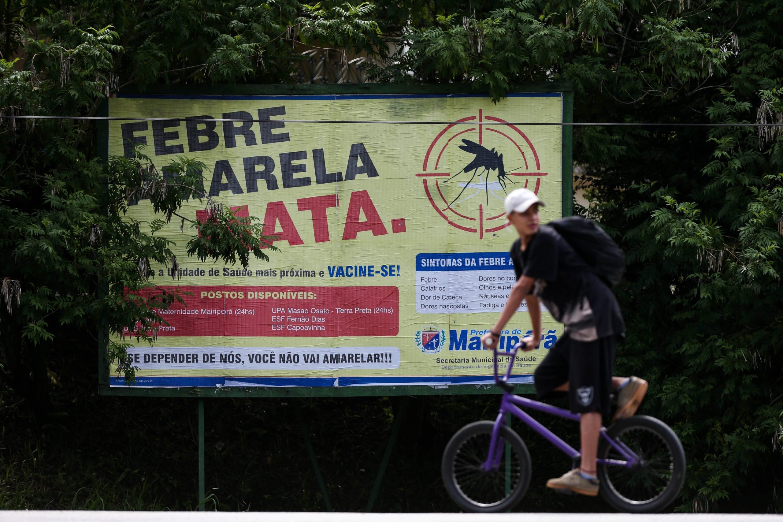 Brasil regista mais de 50 mortes por febre-amarela entre abril e maio