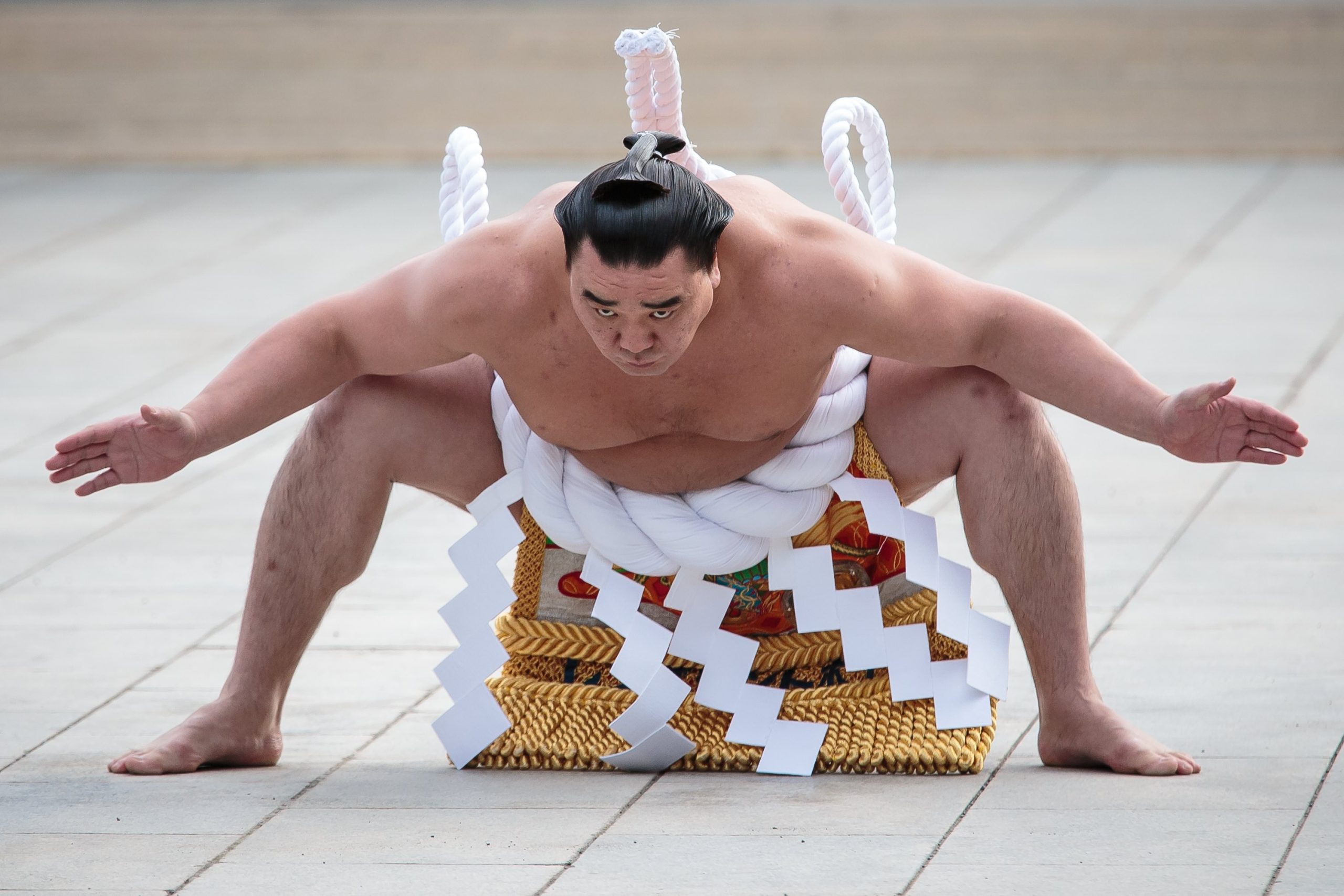 Sumo em Londres: cadeiras maiores, arroz extra e casas de banho reforçadas no Royal Albert Hall