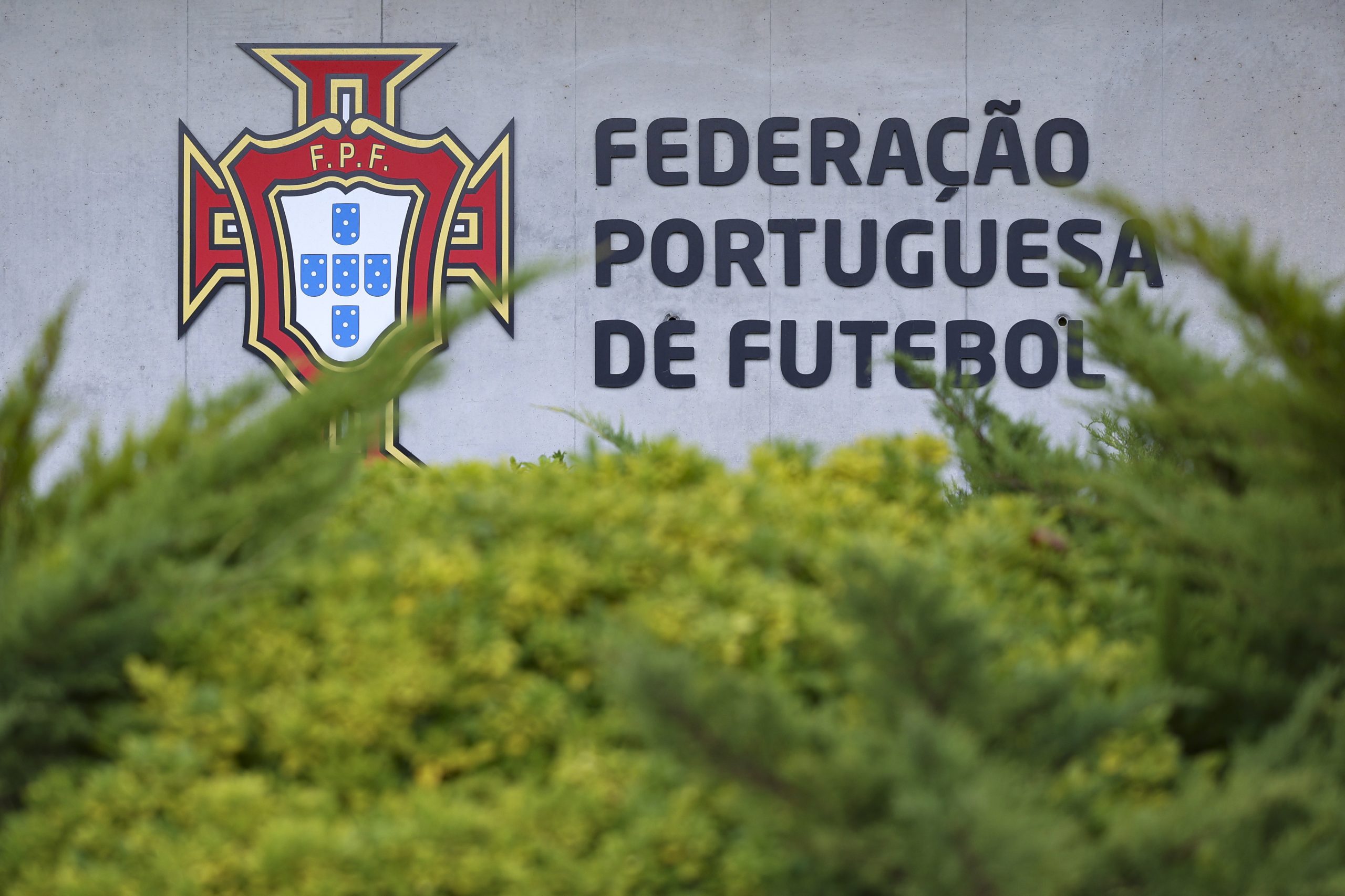 Jovem jogador de futsal morre em despiste de carrinha em Mafra