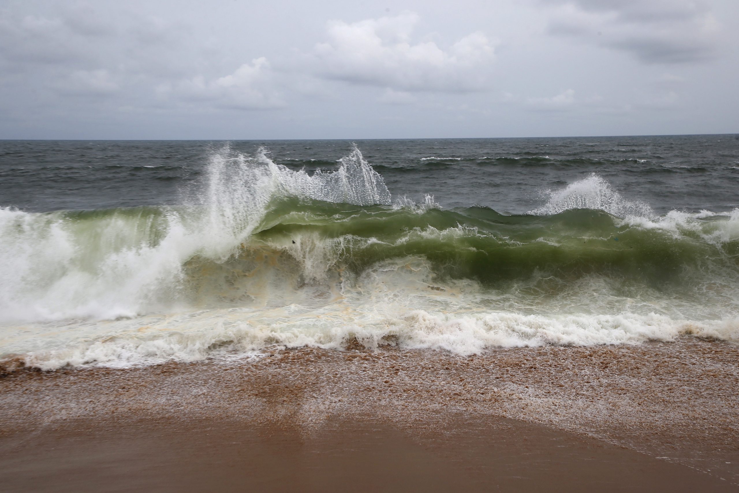 Quercus alerta para agravamento da poluição dos oceanos com a pandemia