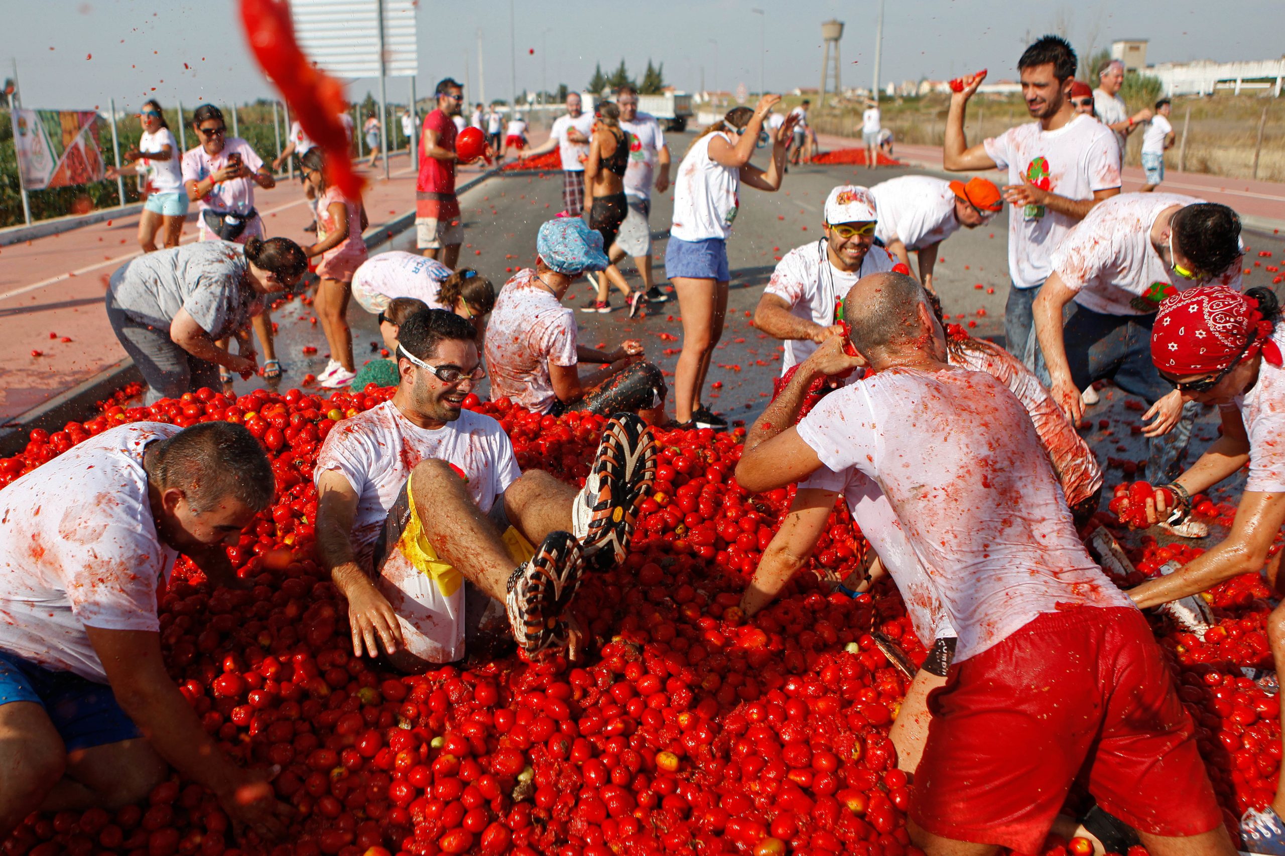 Segunda “tomatina à portuguesa” vai acontecer a 7 de setembro em Almeirim