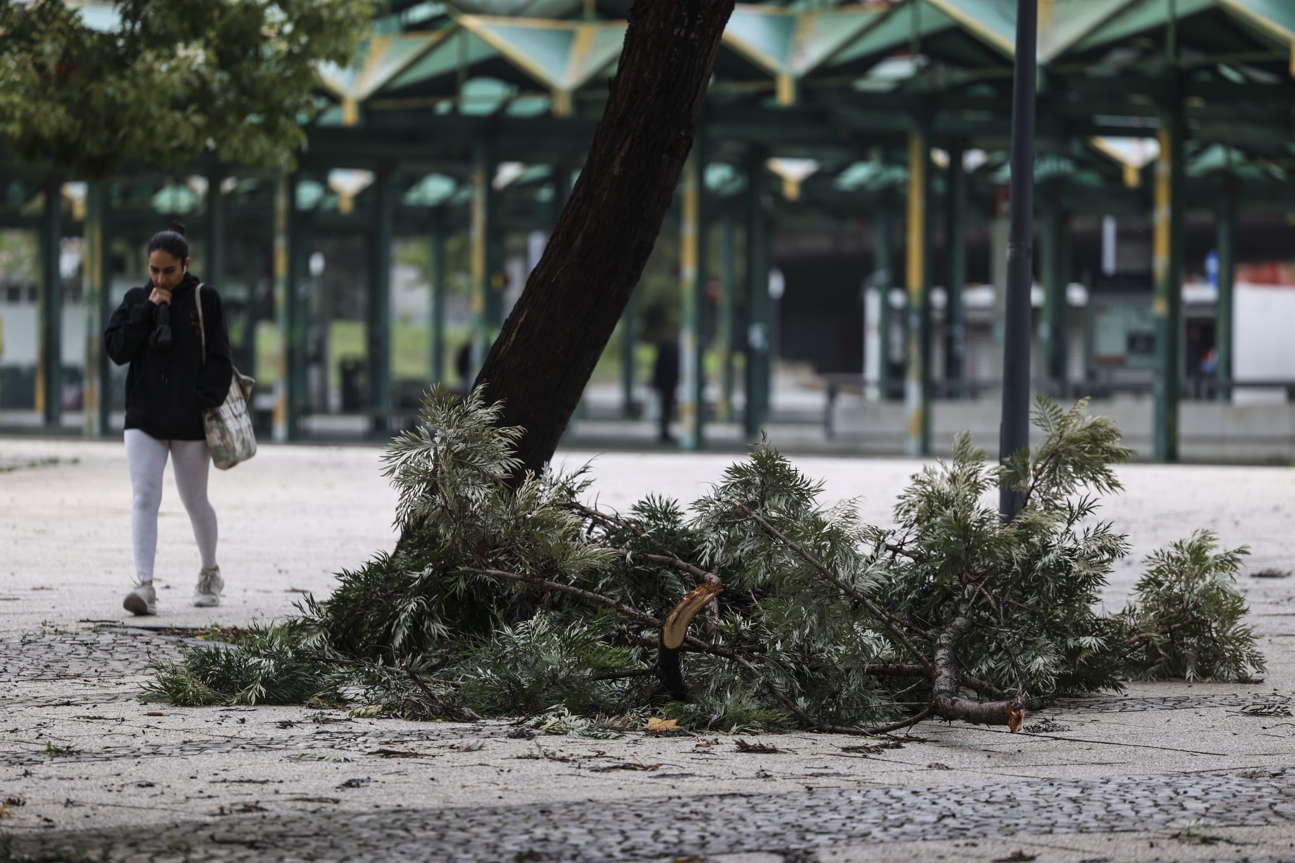 Câmara de Lisboa registou 210 ocorrências sem vítimas ou desalojados