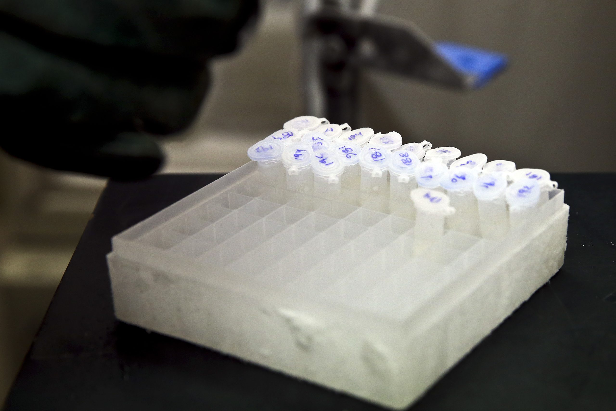Detetada ‘legionella’ em escola secundária de Espinho mas não há risco para saúde