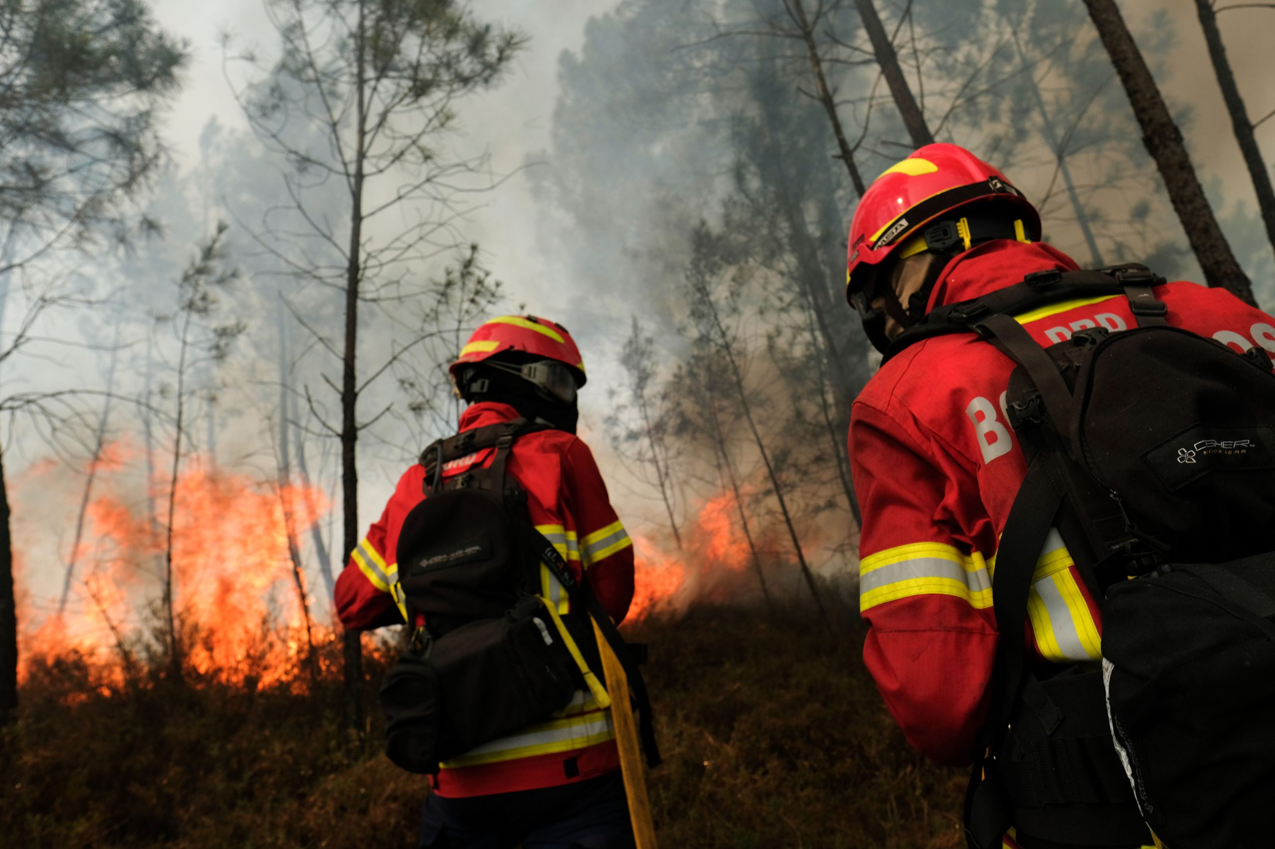 Ativos dois incêndios em Cinfães e Póvoa do Lanhoso