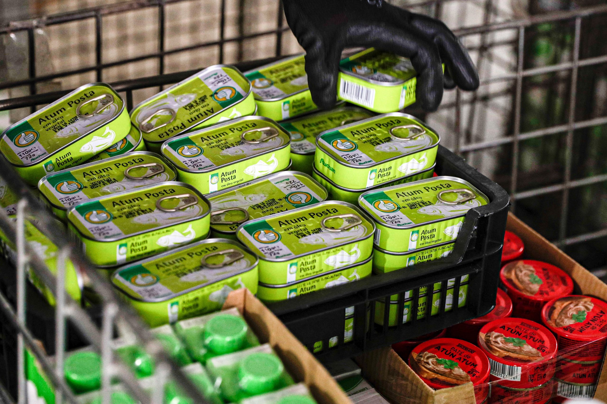 Câmara de Condeixa distribui cabazes alimentares a 365 alunos
