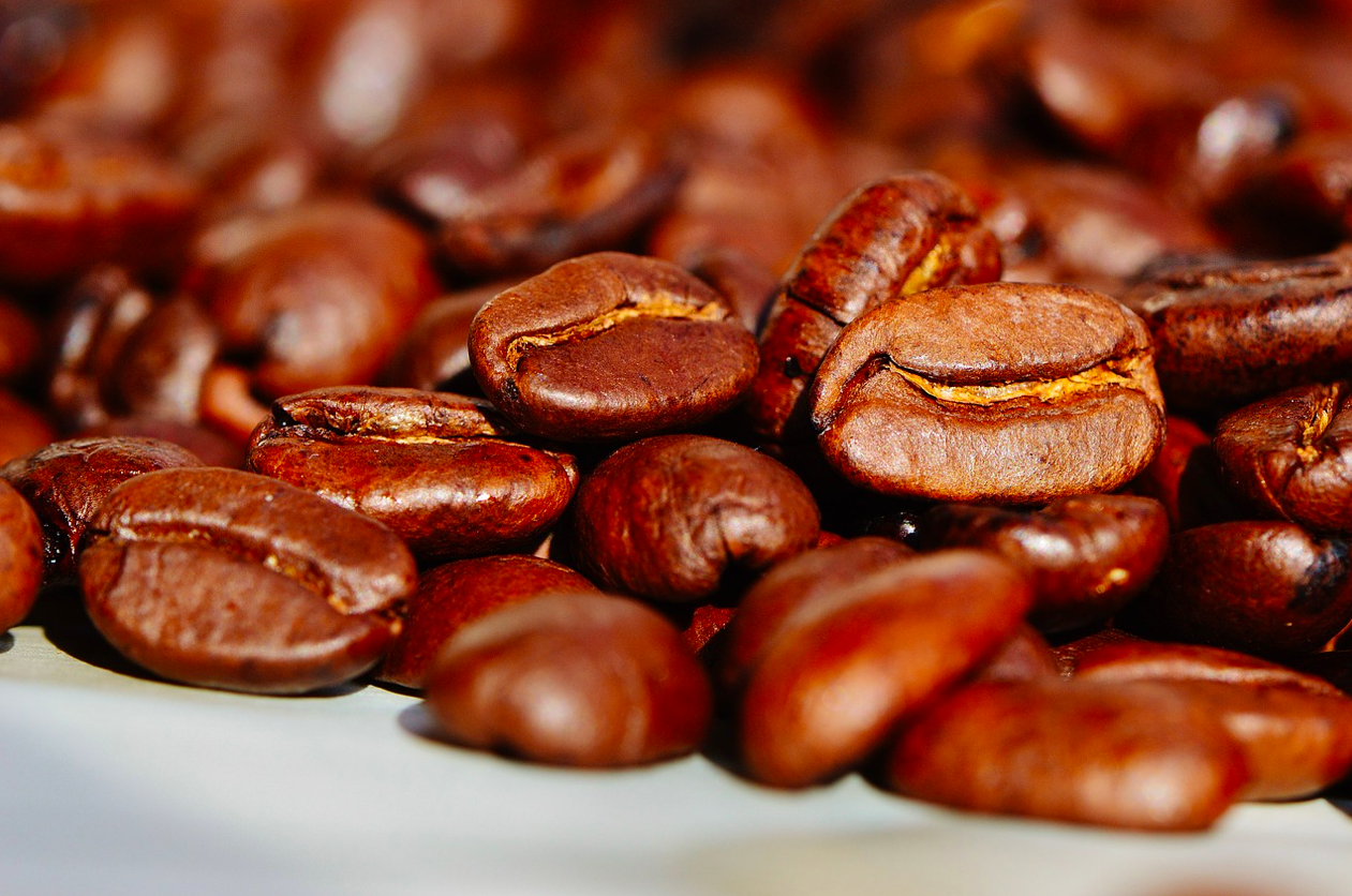 Porto Coffee Week regressa com sete dias dedicados à cultura do café