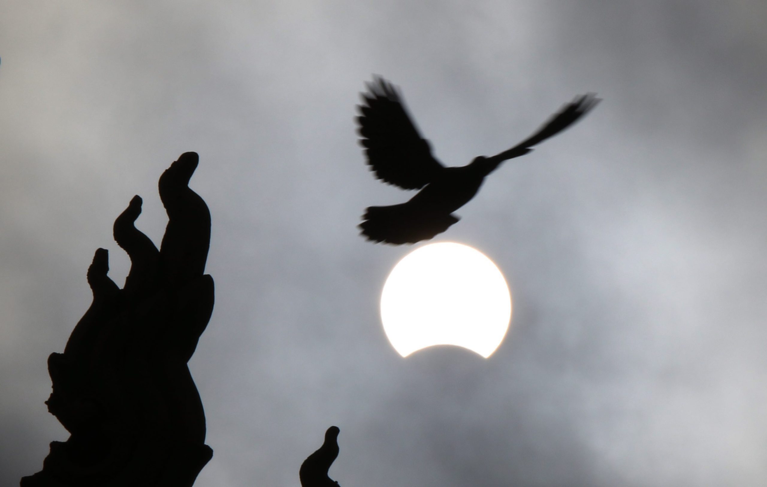 Hoje vai ficar mais leve sem dietas. A culpa é do eclipse solar