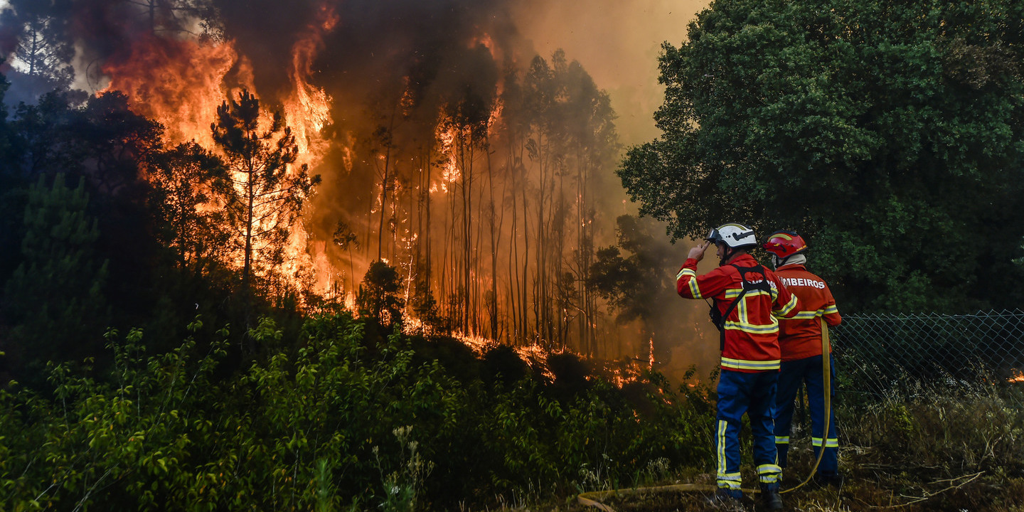 Maioria das candidaturas nas florestas, incluindo prevenção de incêndios, não é financiada
