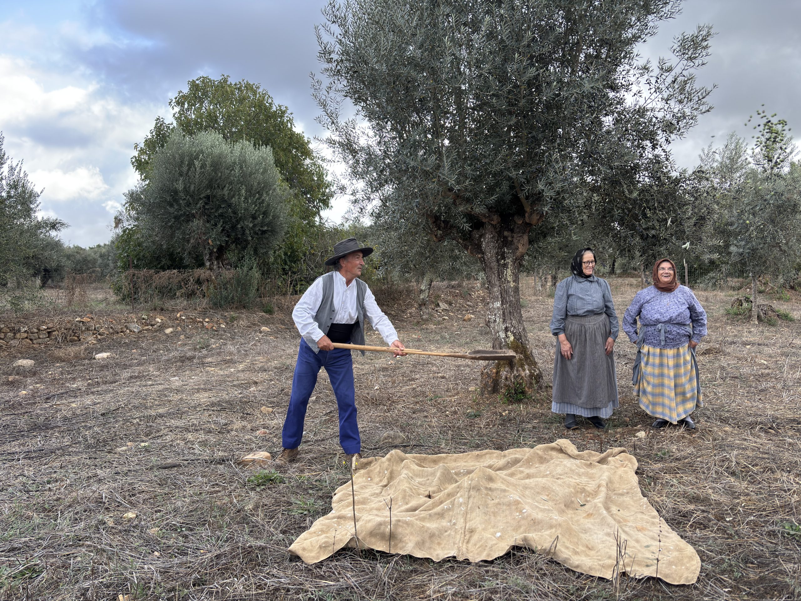 Apadrinhar oliveiras pode ser o antídoto para a “tentação do Excel” que paira sobre os agricultores e põe em causa o ambiente