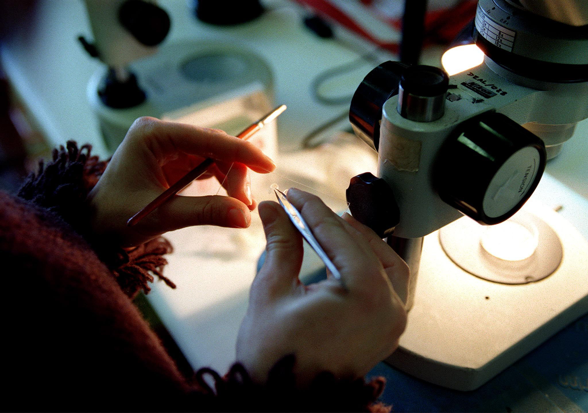 Projeto educativo português Native Scientists vence prémio Novo Bauhaus Europeu