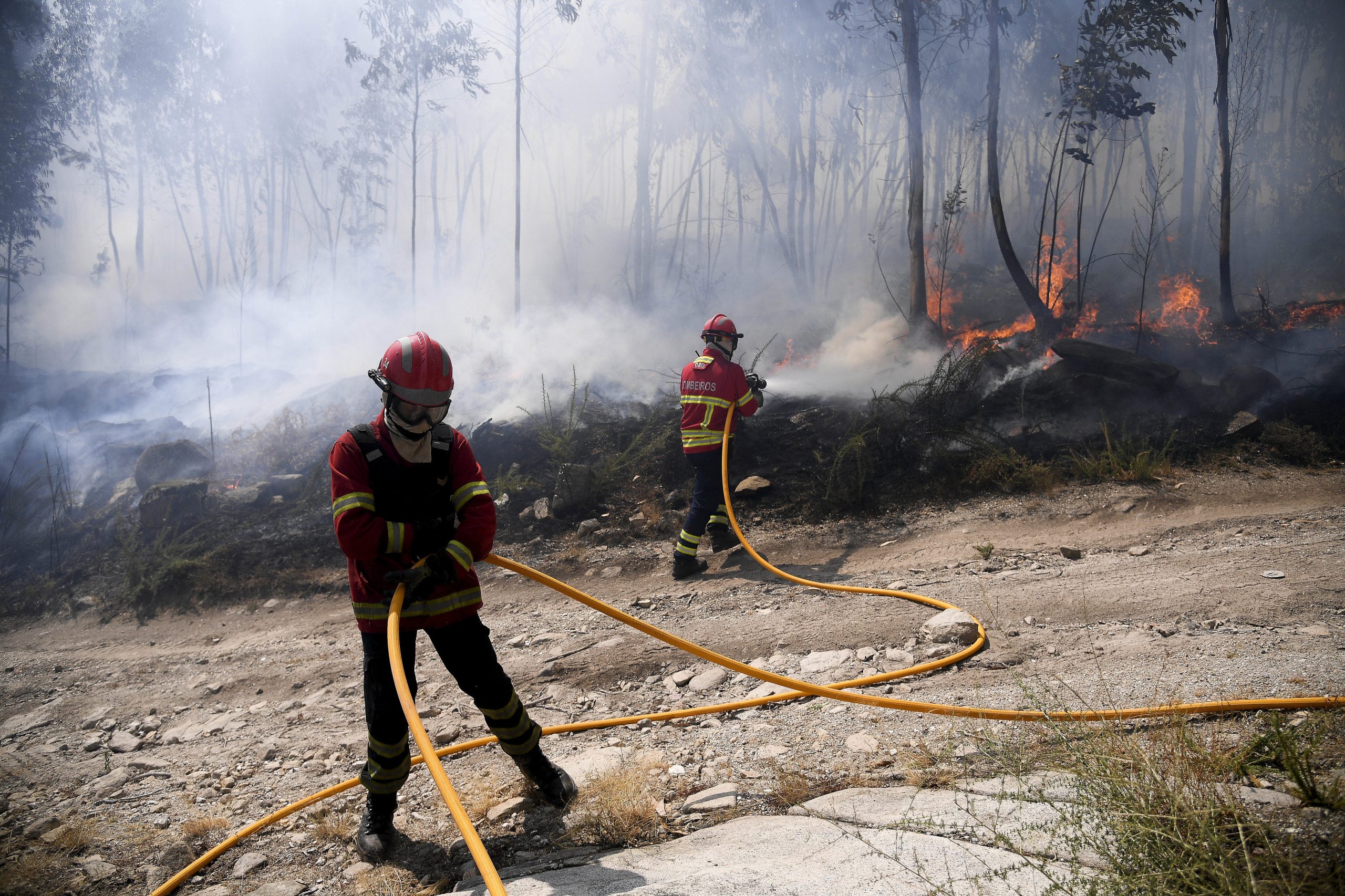 Incêndios: Fogo em Tomar a evoluir “favoravelmente”