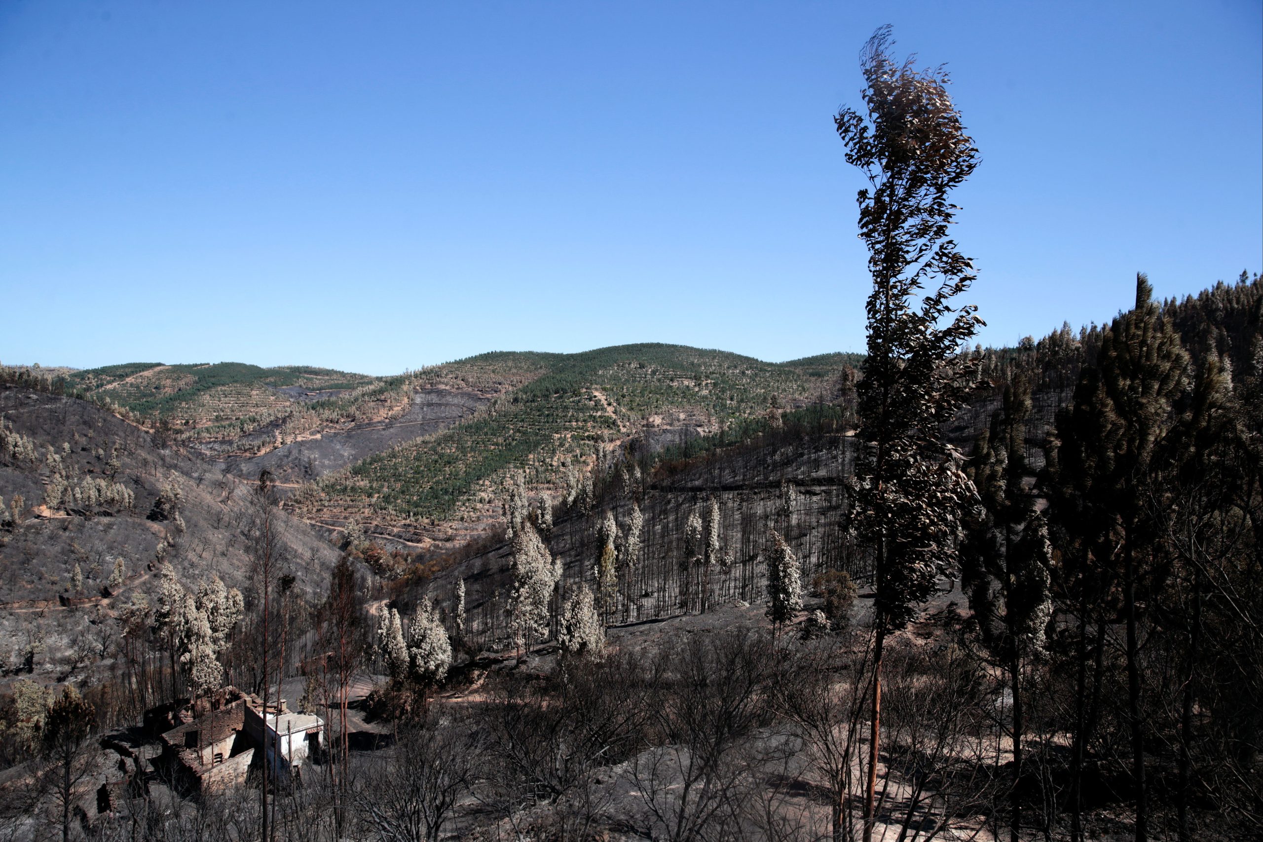 Incêndios. Governo disponibiliza mais de 4,5 milhões de euros para recuperação de infraestruturas