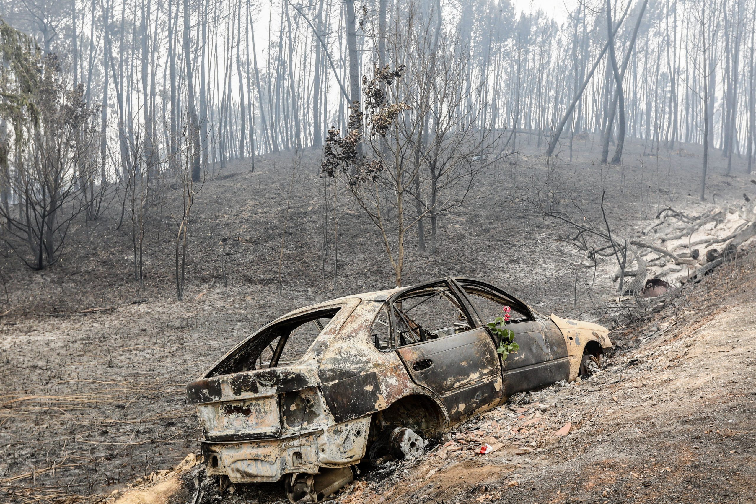 Incêndios. Governo assume responsabilidade pelas mortes na tragédia de Pedrógão Grande através de mecanismo extrajudicial de compensação