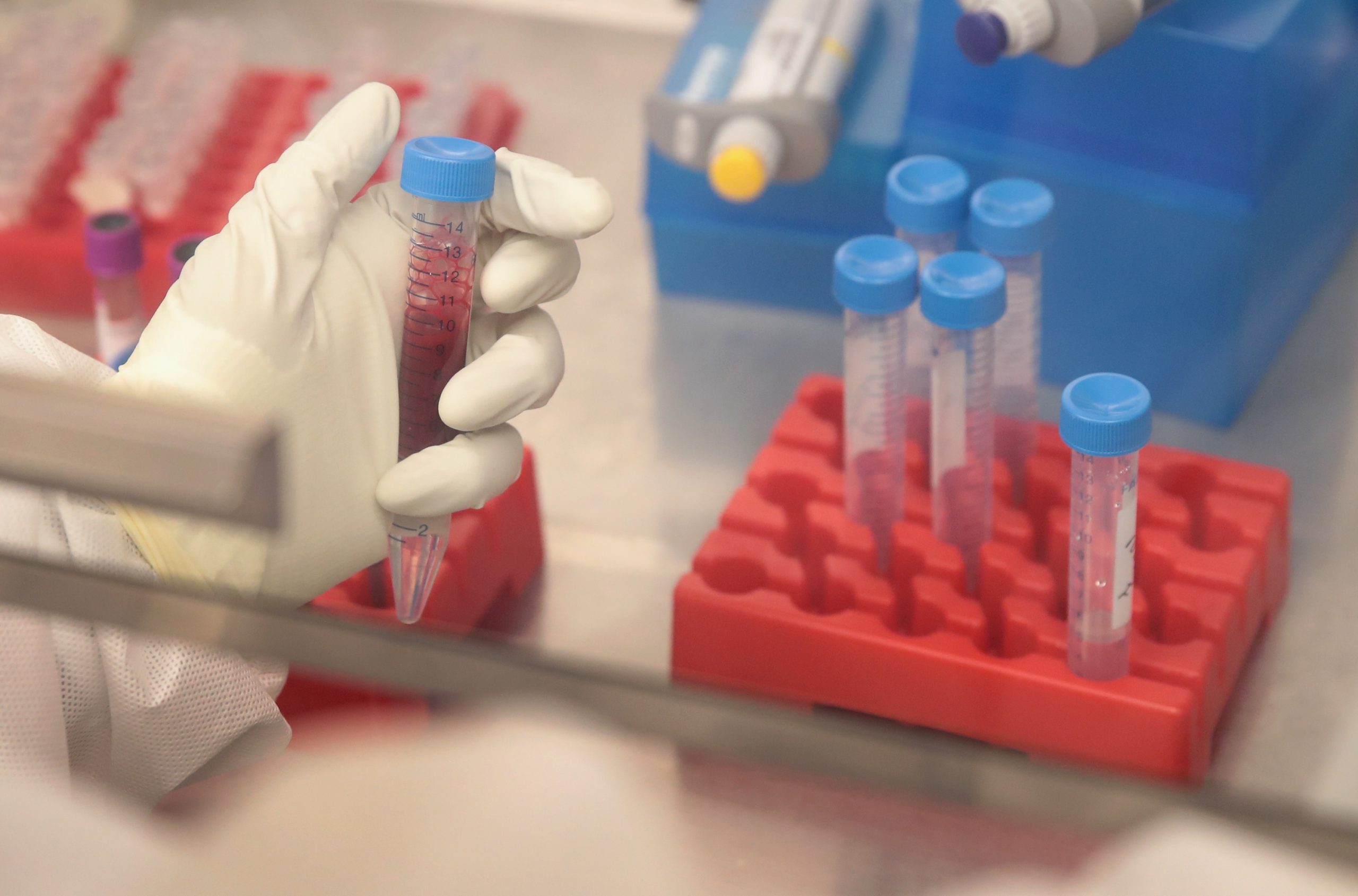 Sida e tuberculose com programas prioritários individuais a partir de hoje