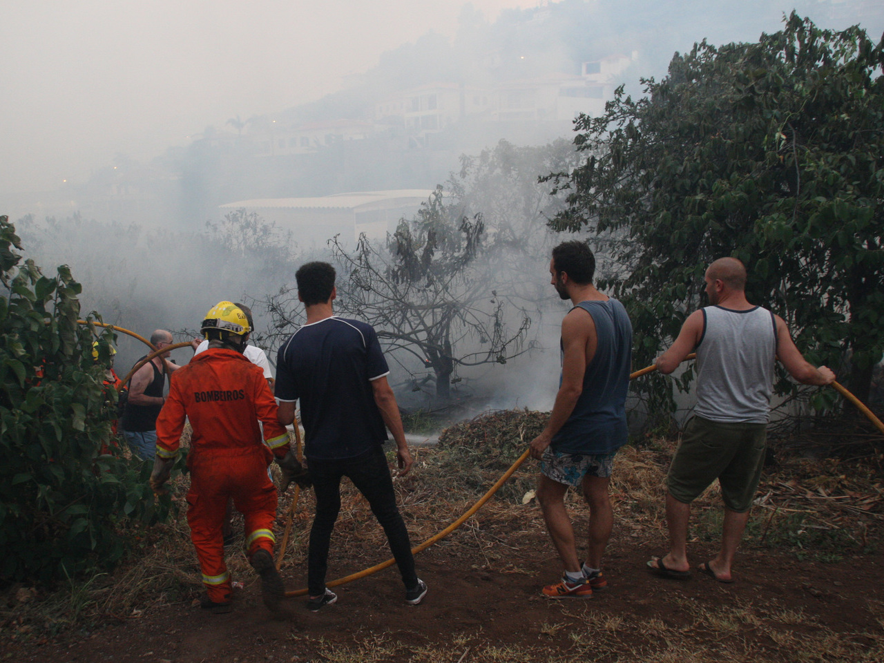 Madeira: Chamas na Ribeira Brava ainda por controlar