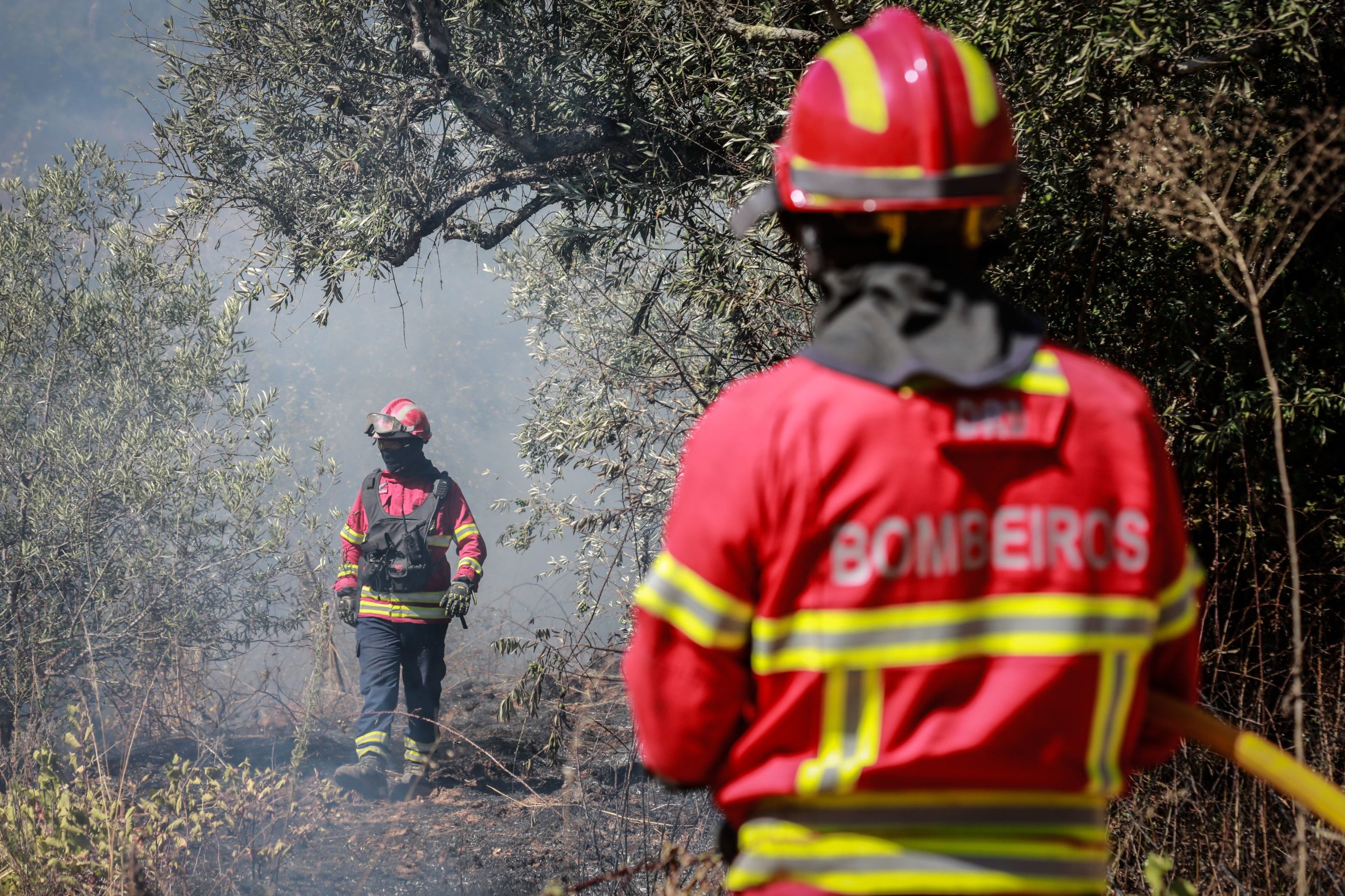 “Quebrar o Silêncio” repudia suspeitas de violação que envolvem 11 bombeiros do Fundão e exige responsabilização imediata