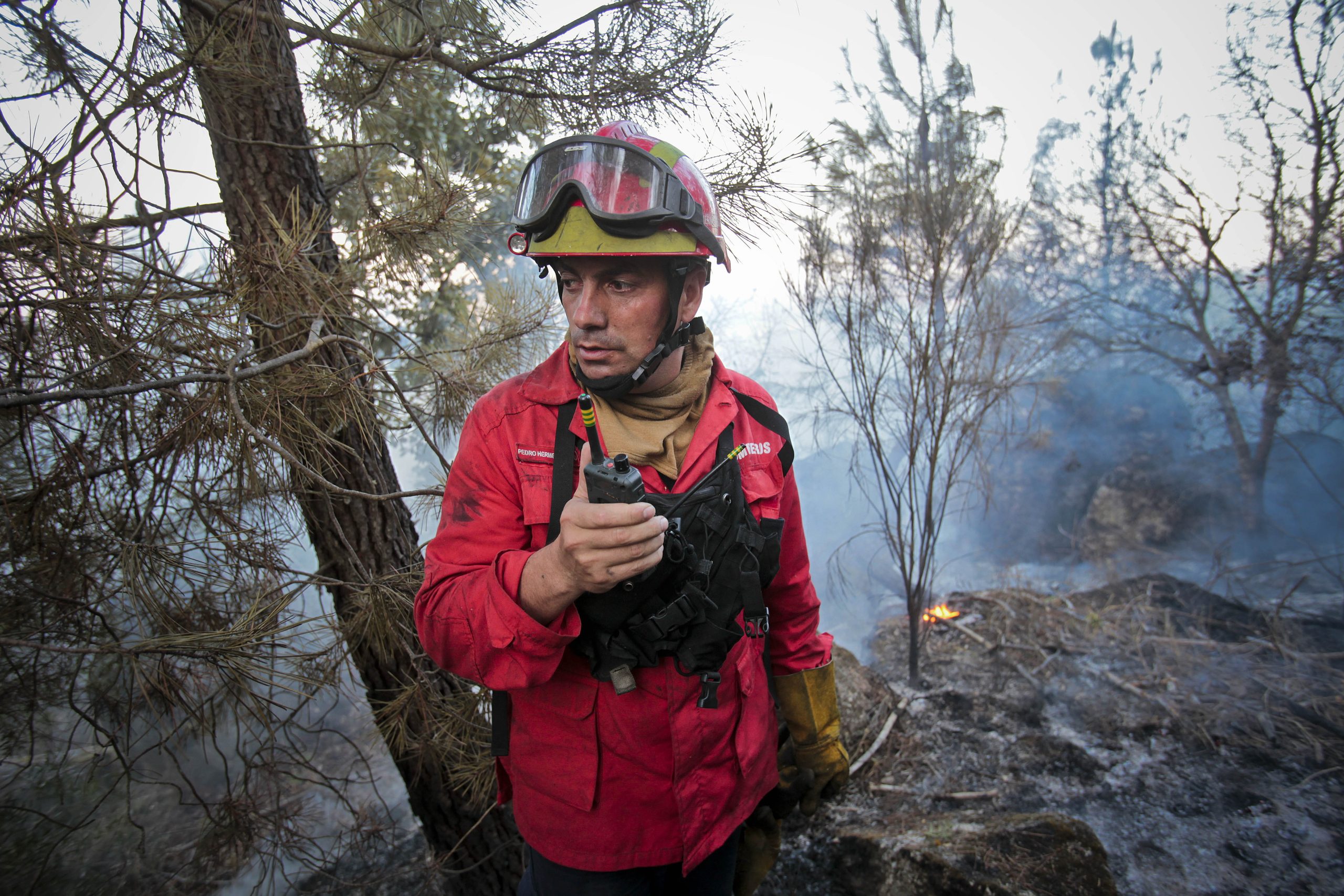 Incêndios: Fogo em Pinhel mobiliza 160 operacionais e cinco meios aéreos
