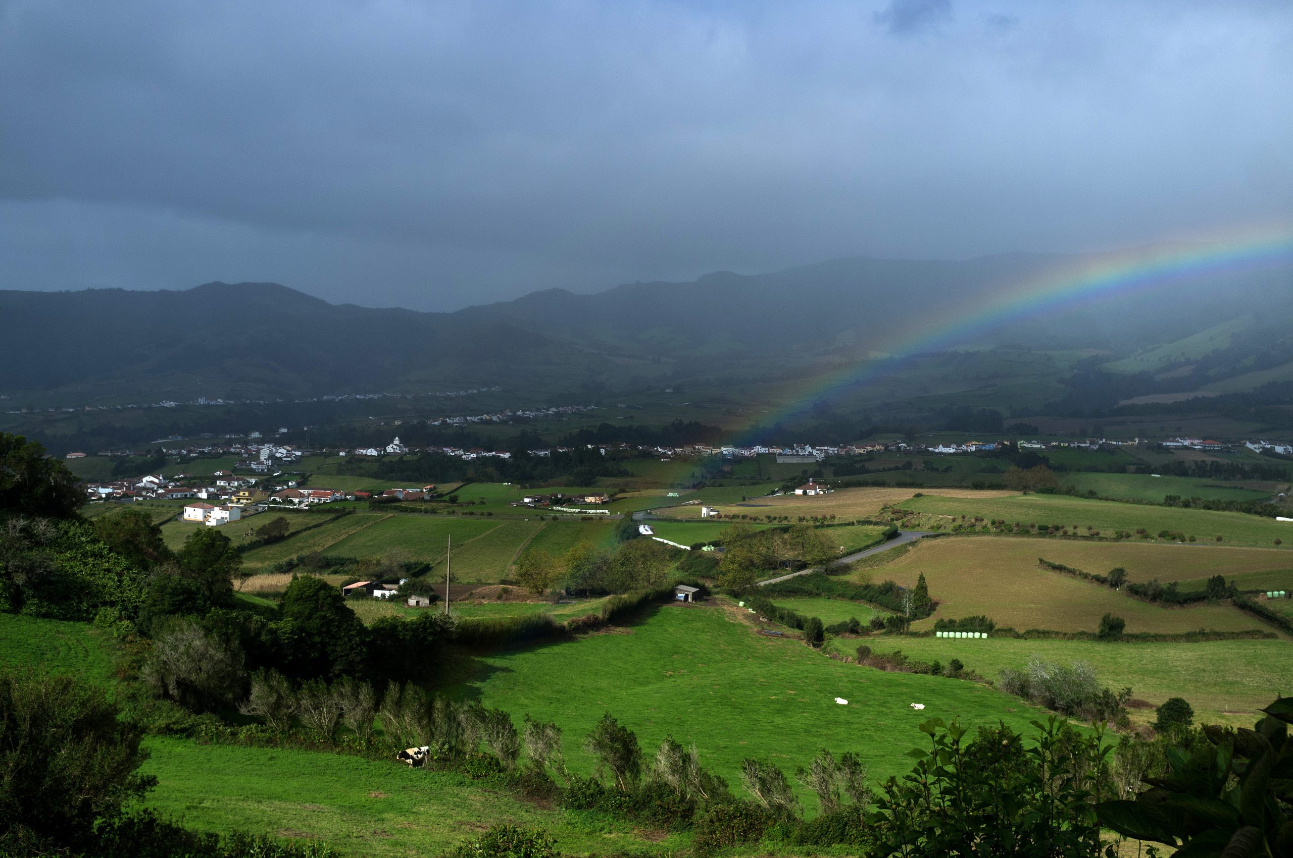 Agricultores dos Açores recebem 62 ME de antecipação das ajudas do POSEI e PRORURAL+