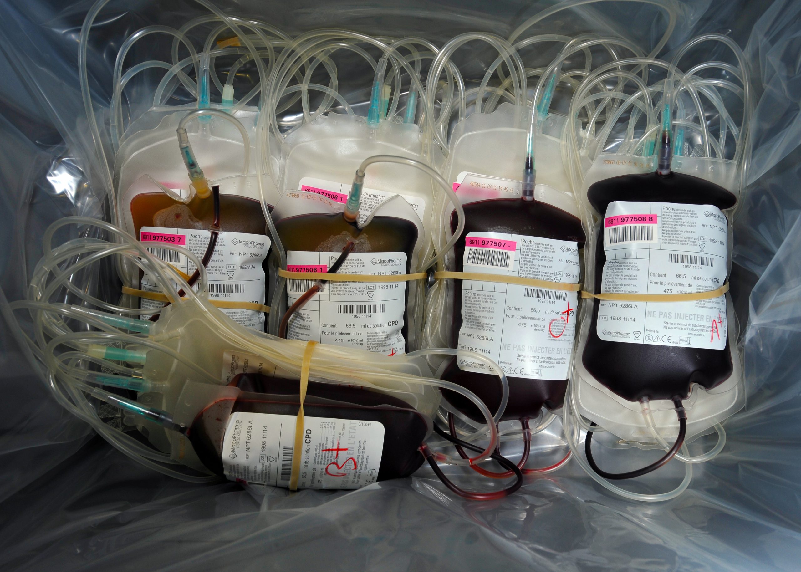 Primeiros 30 mil litros de plasma português vão seguir para transformação em medicamentos
