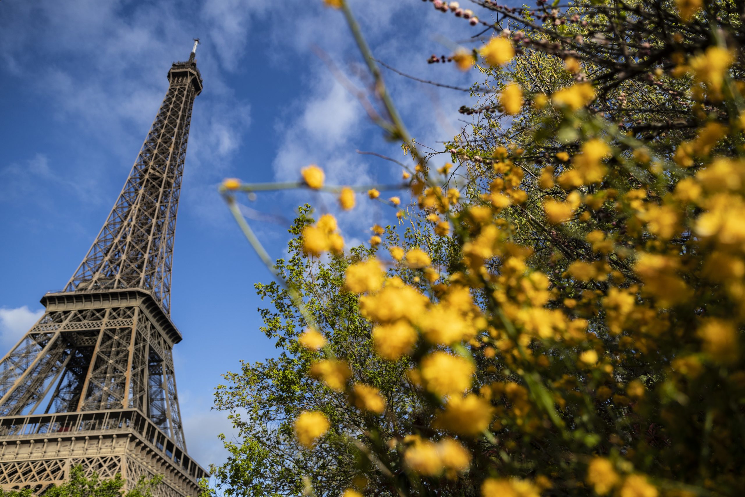 Autarquia de Paris declara estado de urgência climática