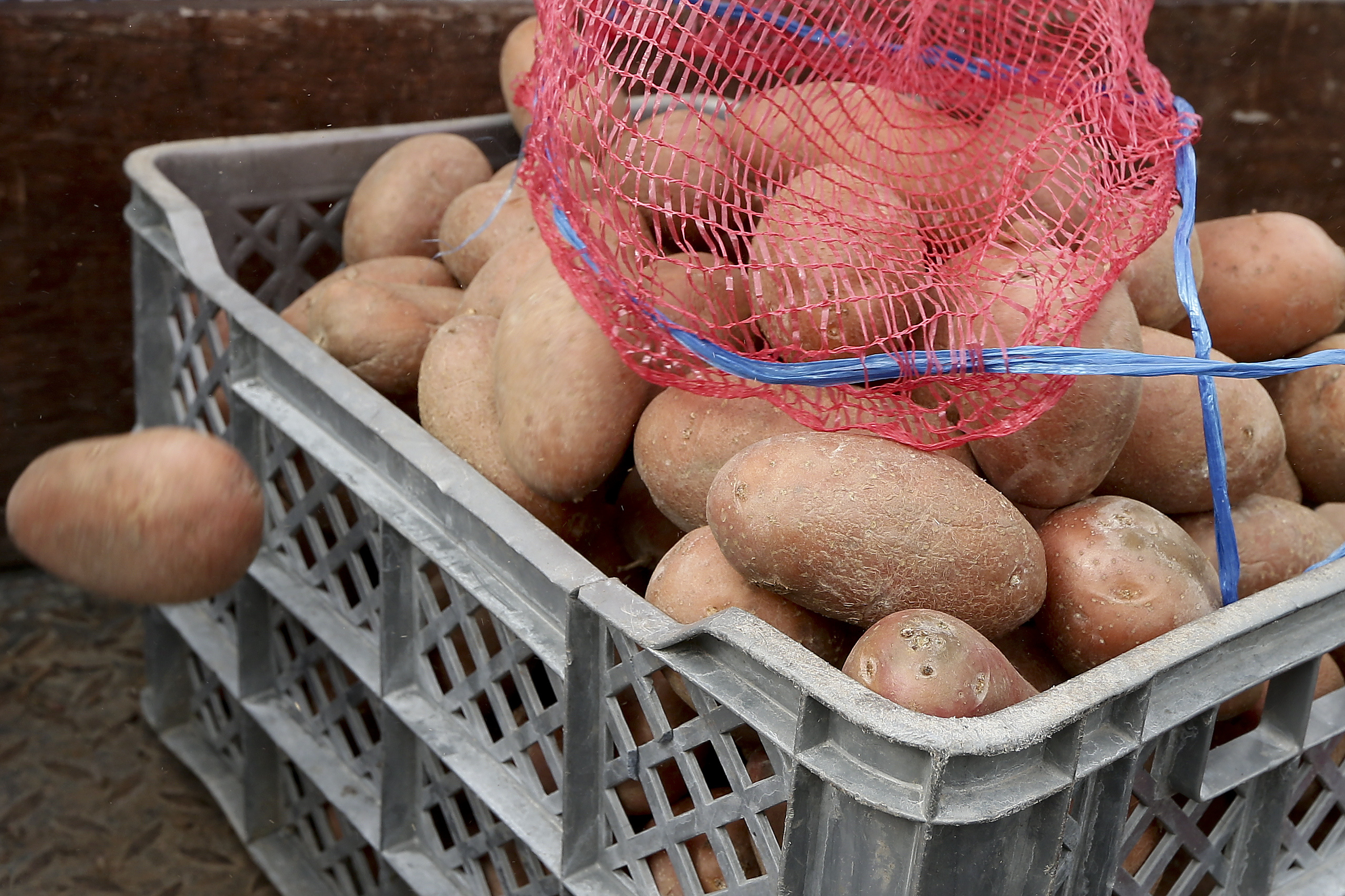 Setor da batata portuguesa quer aumentar exportações e reduzir importações