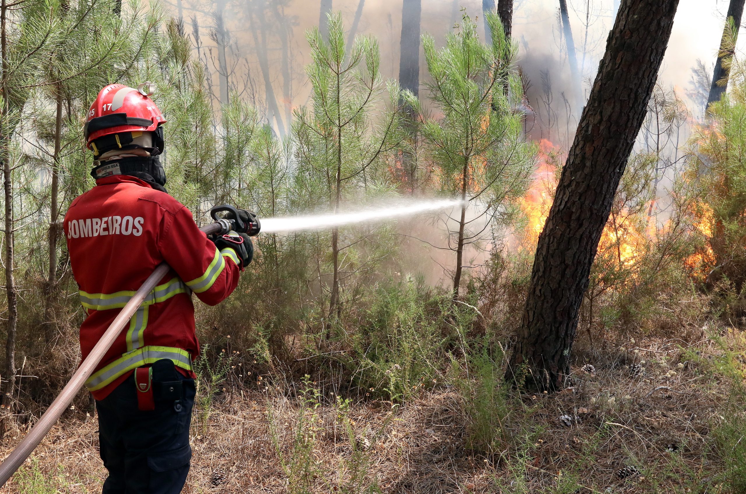 Fogo de Mação sem frentes ativas