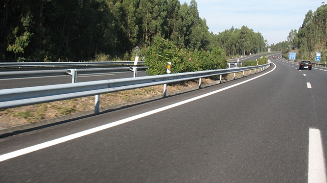 Gato na autoestrada de Gondomar “custa” quase 8.500 euros à IP