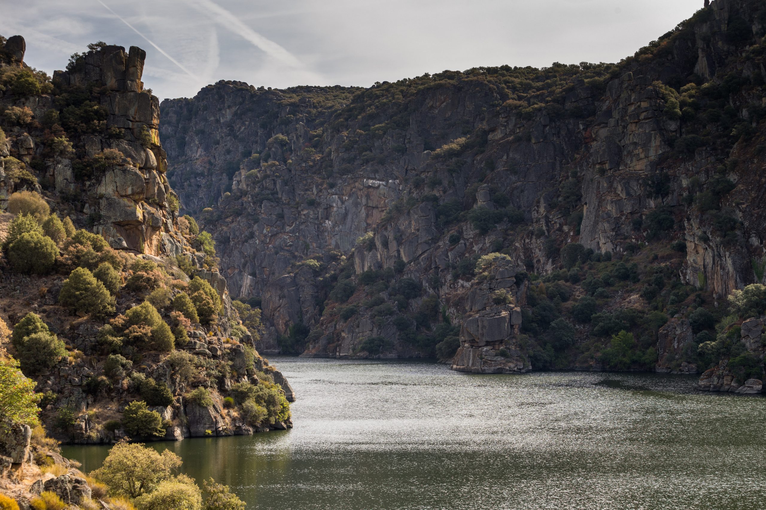 ICNF recupera espécies e habitats ameaçados no Parque do Douro Internacional