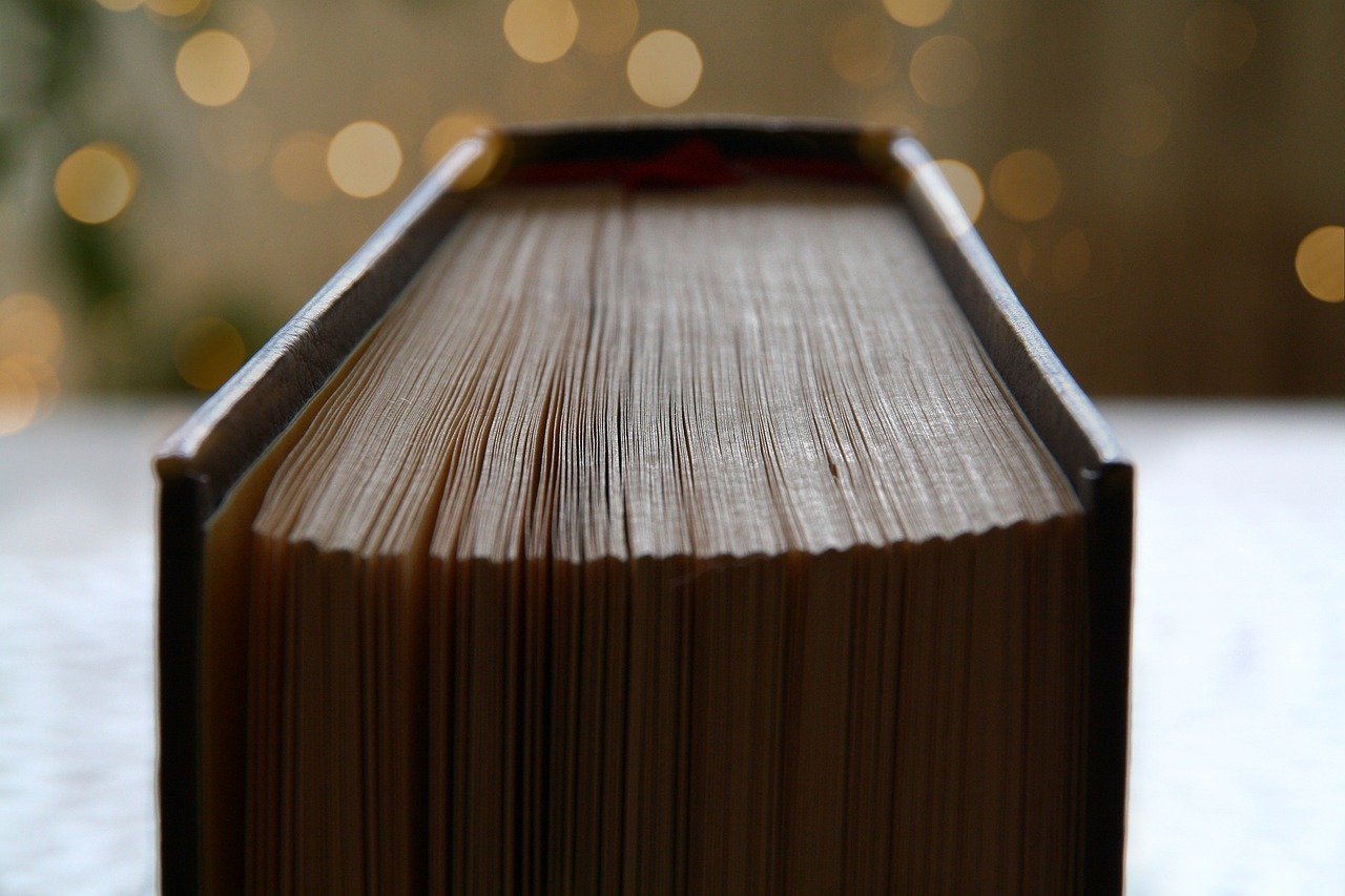 Livro “A Tua Melanina” de Stephanie Vasconcelos retrata o amor e as dores do racismo