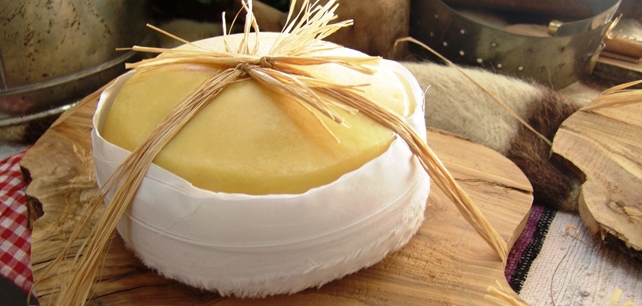 Chefes de cozinha fazem brilhar o queijo Serra da Estrela em Penalva do Castelo