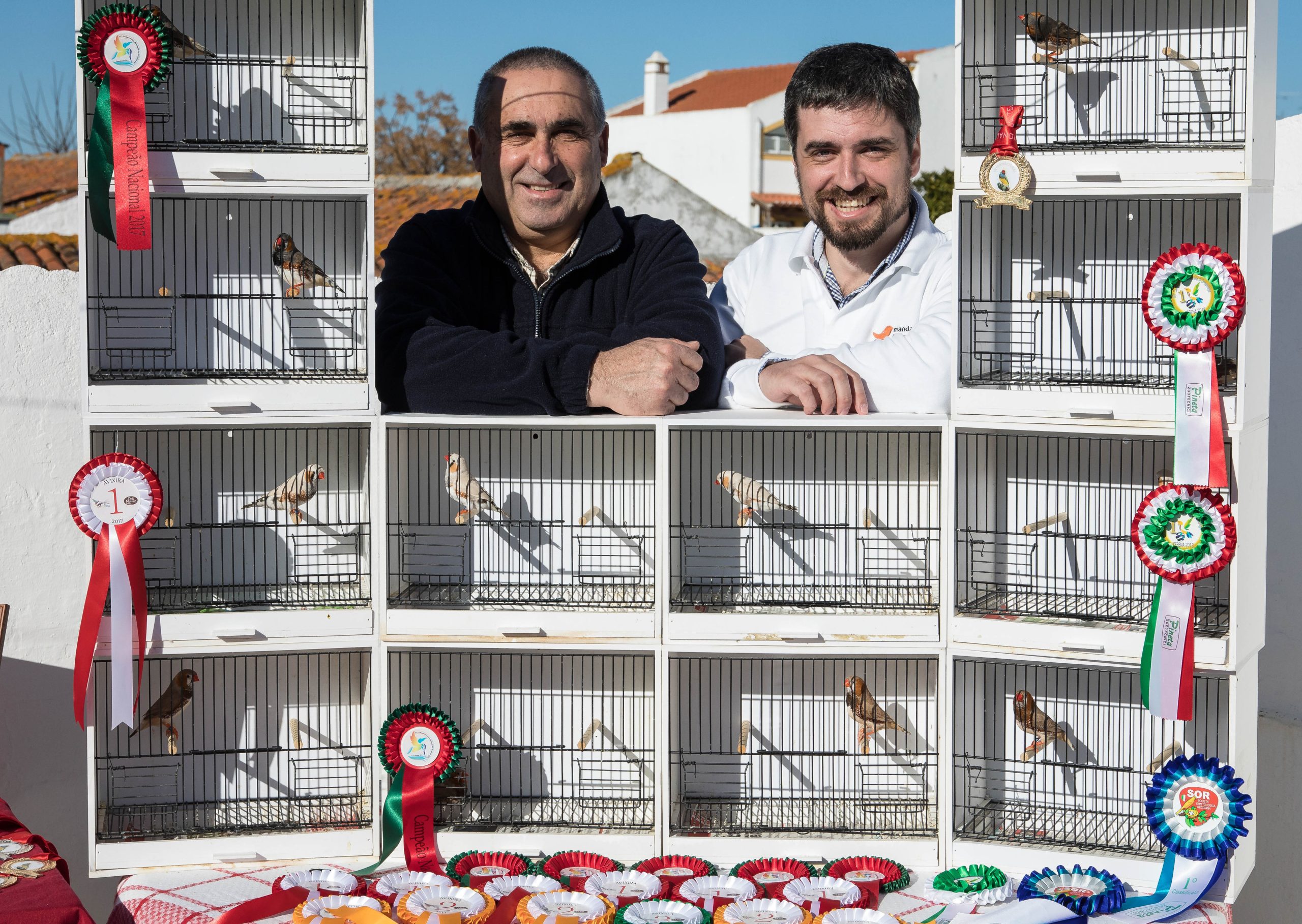 Os mandarins medalhados da família Brogueira