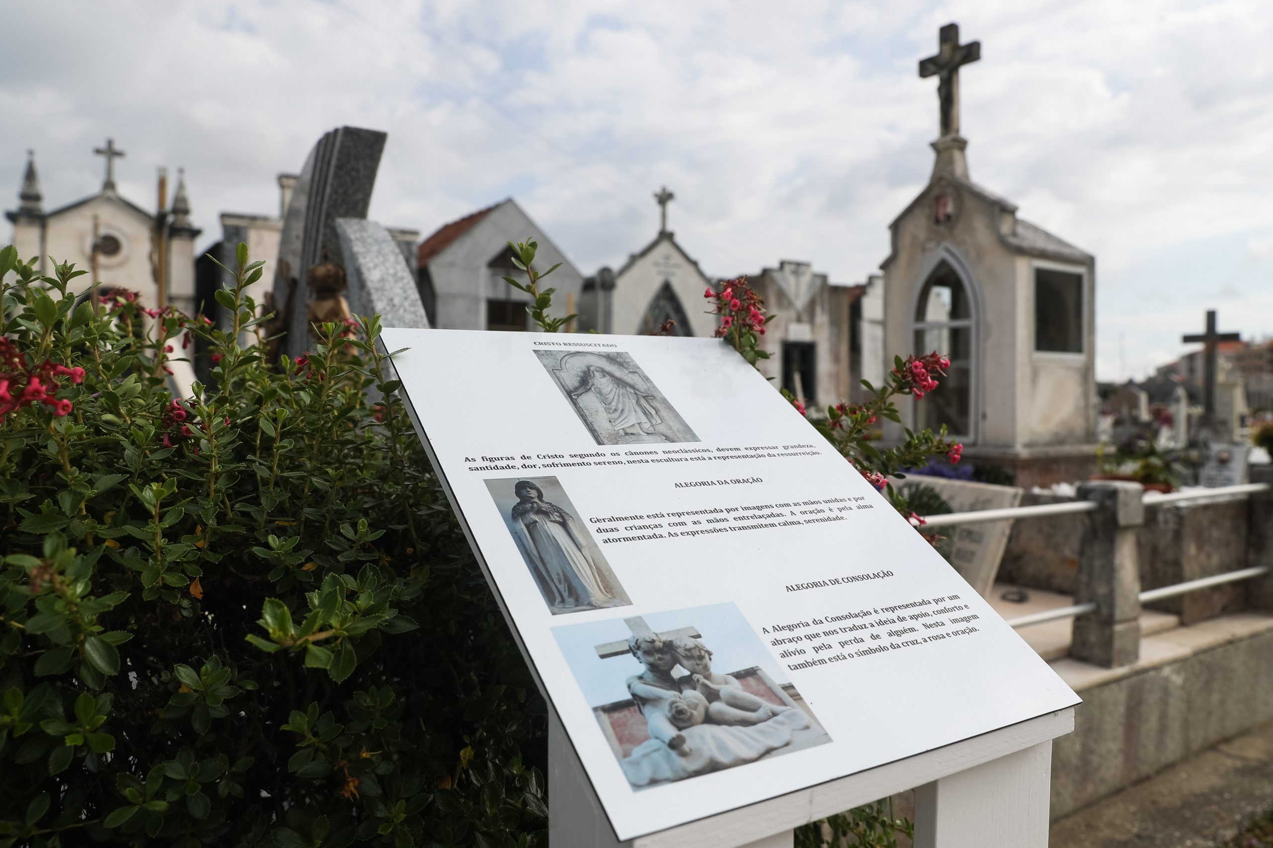 “O som das pedras”. Dono de funerária explica simbologia da morte nos cemitérios de Aveiro