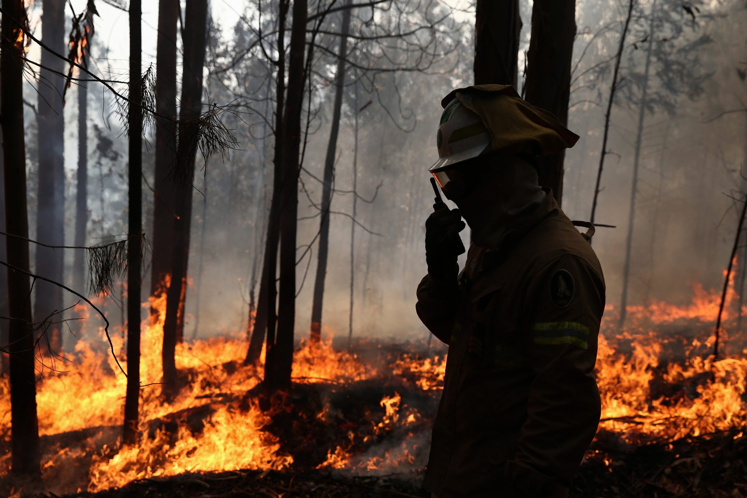 Sete concelhos do Algarve em risco máximo de incêndio