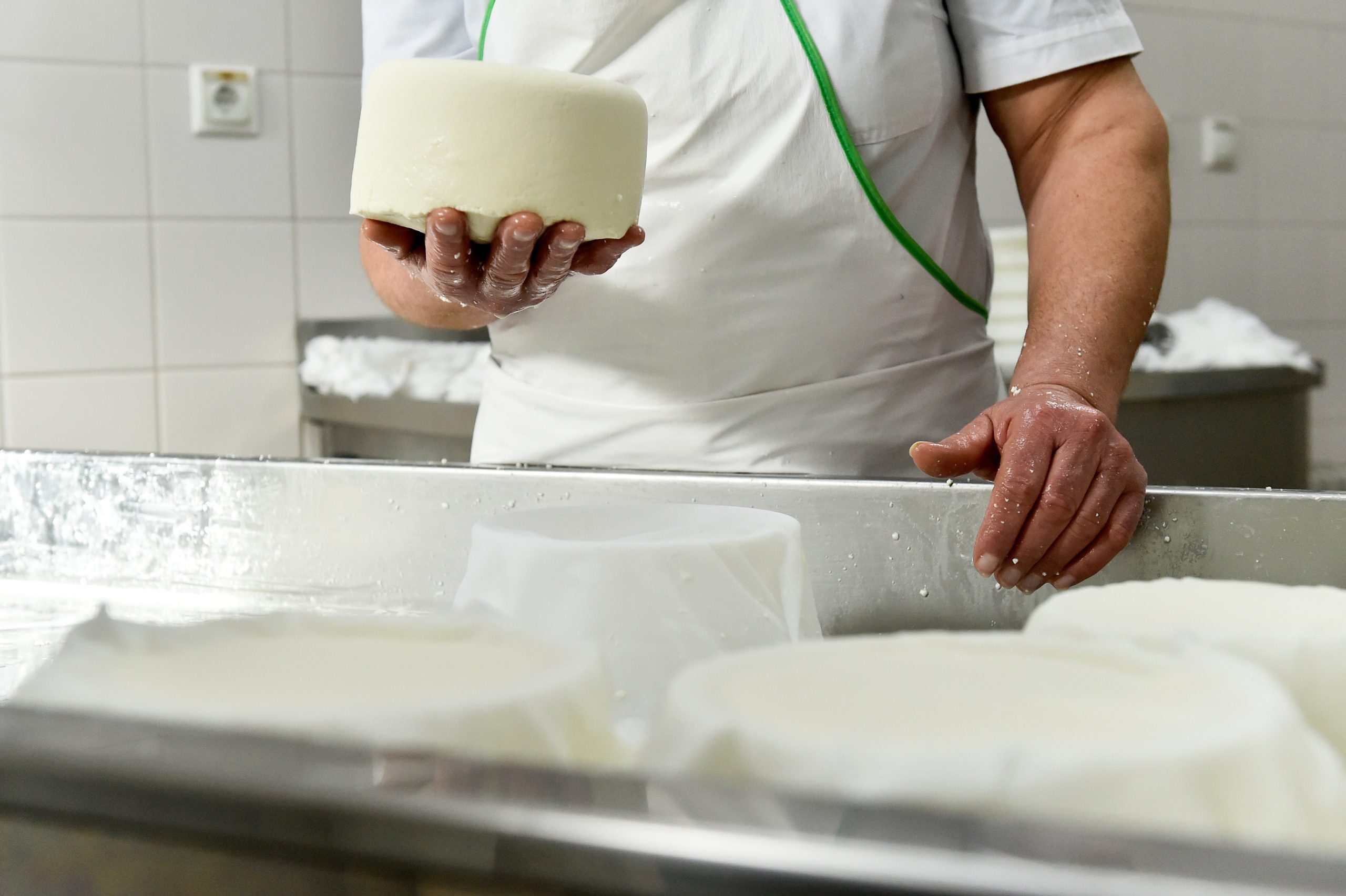 Feira do Queijo do Alentejo junta mais de 100 expositores em Serpa