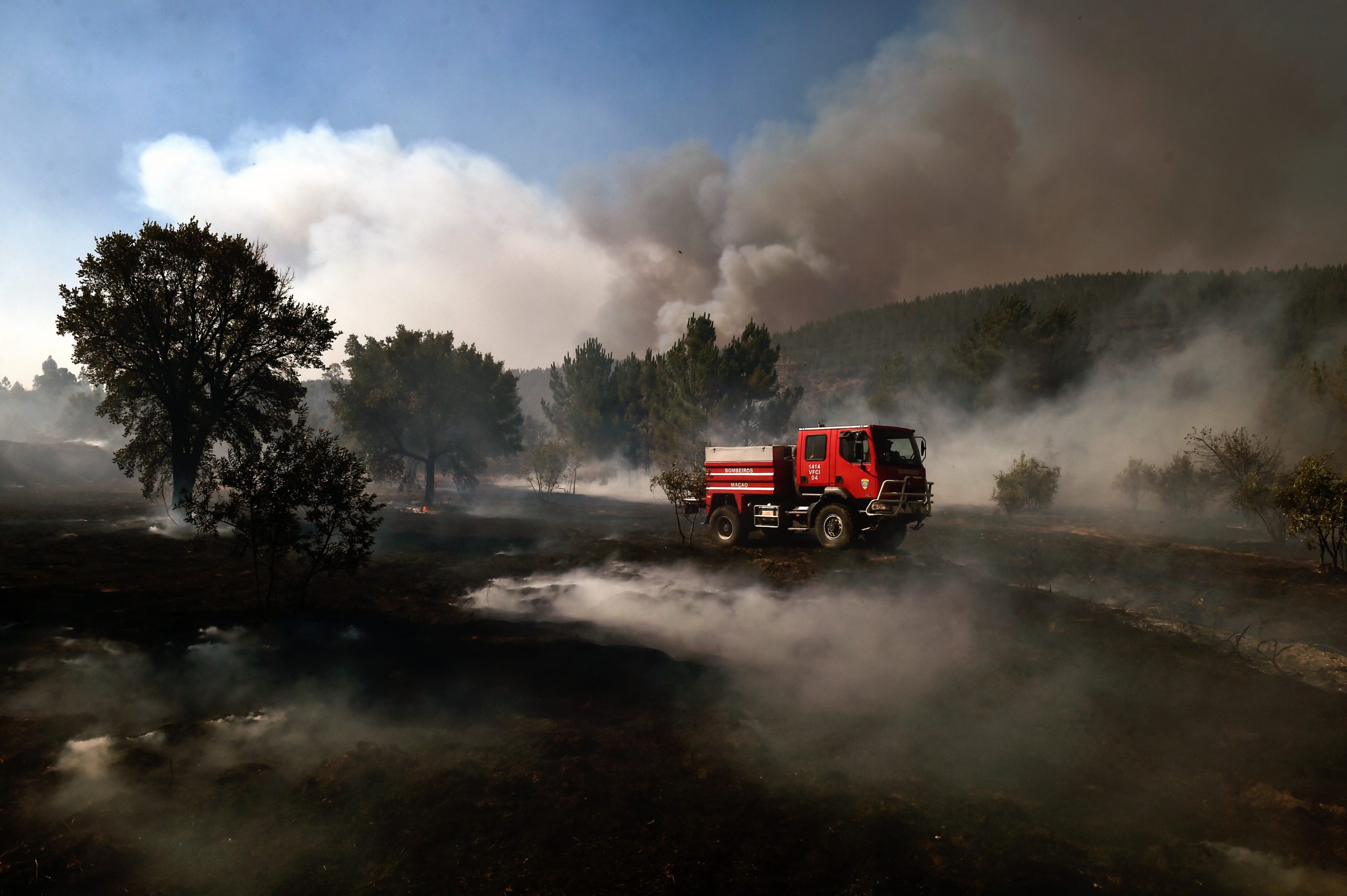 Incêndios: Autarca fala de tragédia de prejuízos incalculáveis em Mação